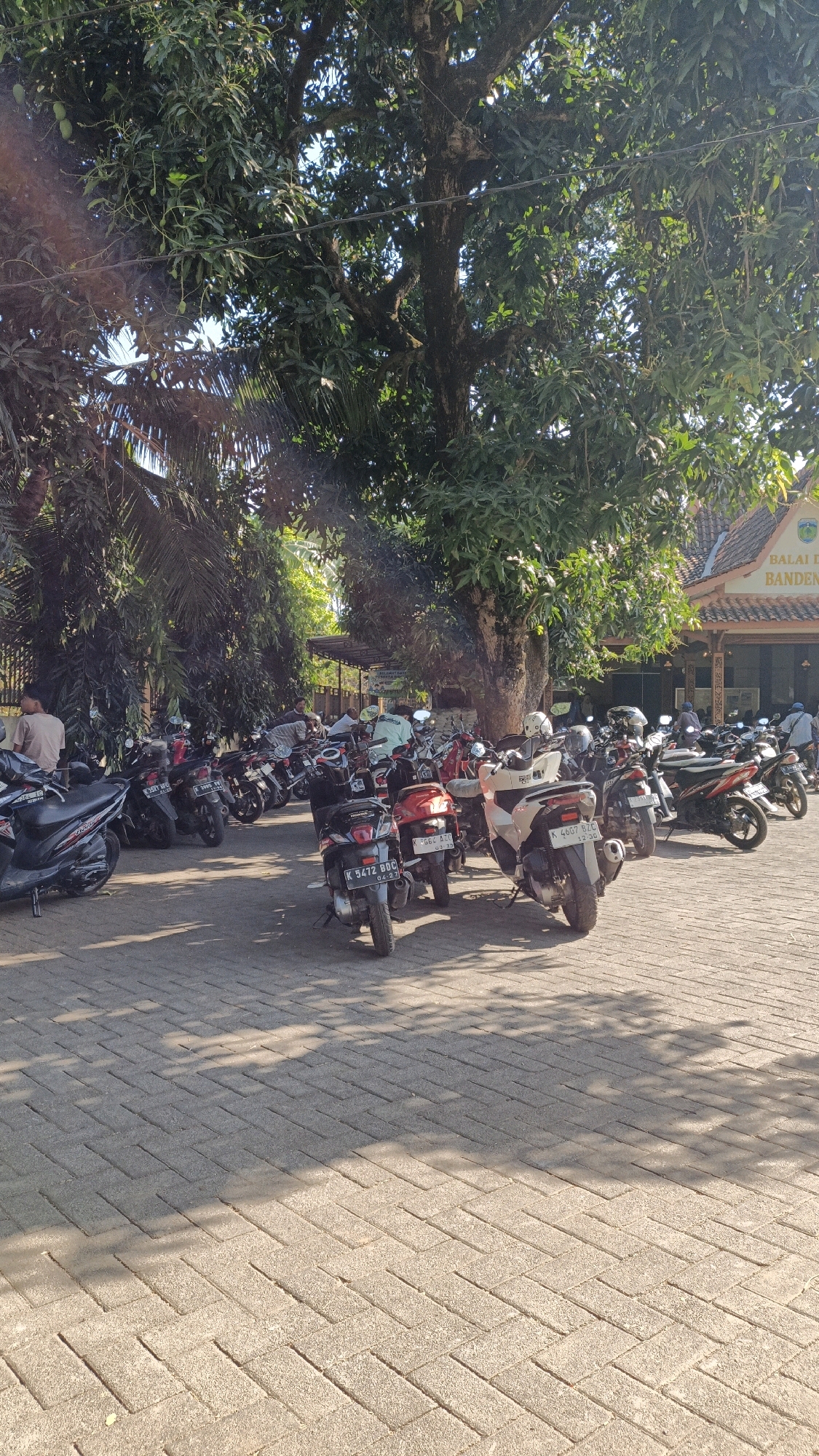 The image shows a parking lot in Cikal, Indonesia, filled with numerous parked motorcycles. The lot is paved with interlocking bricks. Towering trees with dense foliage provide shade over the scene, casting dappled shadows on the ground. In the background, a building with a tiled roof is visible, featuring signage that reads "BALAI DESA BANDEN". Several people are present, some standing or walking near the motorcycles, while others are inside or near the building. The lighting suggests it is daytime, with sunlight filtering through the leaves.