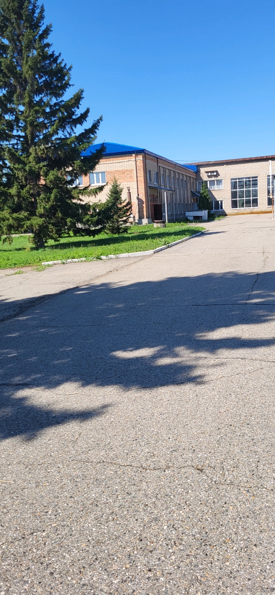 An exterior, medium shot captures a clear blue sky above a two-story brick building with a blue roof. The building's facade features numerous windows and a dark doorway. In front of the building, a well-maintained lawn is partially shaded by a tall evergreen tree on the left. A paved pathway or road occupies the foreground and casts shadows from overhead foliage. The scene appears to be set in an industrial or institutional area within Oskemen, Kazakhstan, possibly on a sunny day. There are no people or animals visible in the frame.
