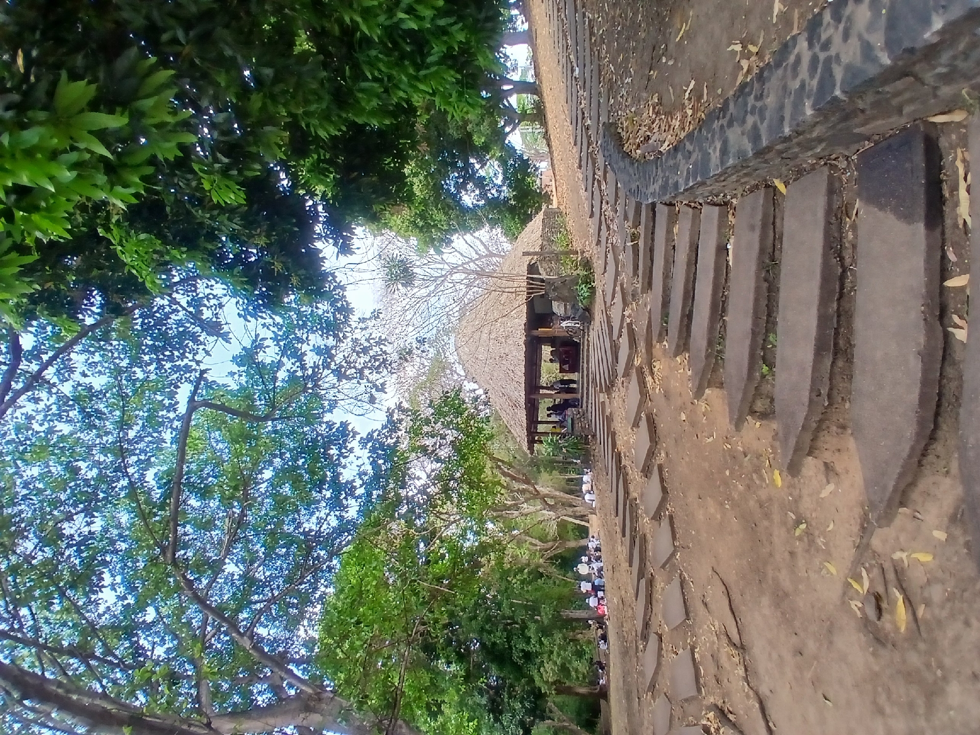 The image depicts a pathway in what appears to be a park or natural setting, likely located in Ciudad Guayana, Venezuela. The path is made of stone or concrete blocks, possibly with interspersed vegetation. Lush green trees and foliage flank the path on either side, creating a canopy effect overhead.
In the distance, there is a thatched-roof structure, possibly a pavilion or shelter, which appears to be occupied by people. On the left of the image, a group of people are also visible. The setting suggests a recreational or gathering space within the city.