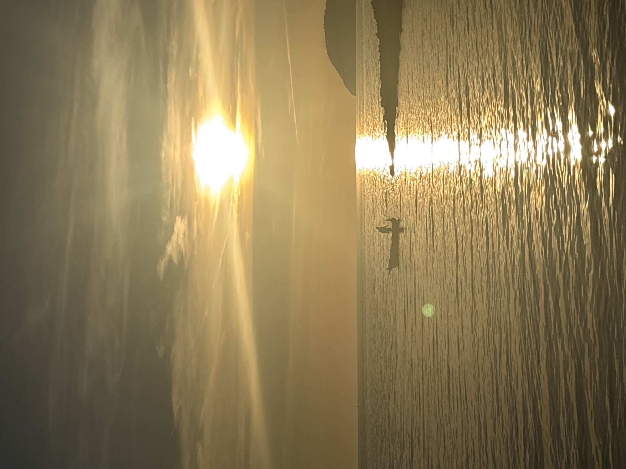 The image depicts a serene sunset over the Adriatic Sea, viewed from the coast of Bar, Montenegro. The sun, a bright, diffused orb, hangs low in the sky, casting a warm, golden light across the scene and creating a shimmering reflection on the water. Wispy clouds streak across the upper portion of the frame, illuminated by the sun's rays.
In the mid-ground, a small, dark boat is visible, with a solitary figure standing upright within it, seemingly engaged in fishing or navigation. The boat is positioned to the left of the frame, contributing to the sense of scale against the vastness of the sea.
To the right, the coastline of Bar is suggested by a rocky embankment leading into the water. Further in the distance, a dark, silhouetted hill or island rises gently from the sea, its shape softened by the atmospheric haze of the sunset. The water itself is calm, with gentle ripples disturbing its surface, reflecting the golden hues of the sky. A distinct circular reflection, possibly from another light source or a lens flare, is visible in the lower-left quadrant of the image, adding a unique visual element. The overall impression is one of tranquility and natural beauty.