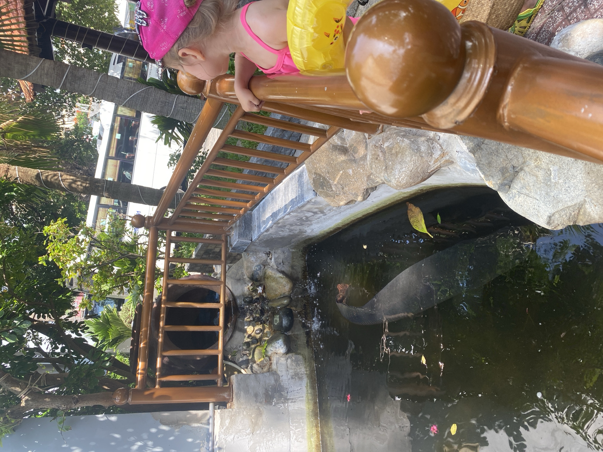 An overhead-angled outdoor scene depicts a young child observing a pond with a water feature, set in Phu Thuy Ward, Vietnam. The child, viewed from the upper back and side, wears a bright pink swimsuit and a matching pink cap adorned with embellishments. A yellow inflatable arm floatie with a fish design is on her left arm, and her left hand rests on a glossy, dark orange-brown wooden railing. Her gaze is directed downward towards the pond.
The pond, located below the railing, features dark water with surface ripples and scattered debris, including small yellow and green leaves and a pink flower petal. A large, dark, elongated object, possibly a statue or sculpted element, is partially submerged in the water, revealing a reddish-brown, textured "head" portion near the surface. On the far side of the pond, a multi-tiered water feature includes water cascading from a large, brown cylindrical pot over a collection of natural rocks into the pond. The pond's edges are constructed with concrete and integrated natural stones.
The foreground is dominated by the polished wooden railing with decorative spherical finials and balusters. Beyond the pond and railing, lush tropical vegetation, including multiple palm trees, fills the background. A white passenger bus with tinted windows and visible occupants is partially obscured by palm trees in the mid-ground, suggesting a nearby road or parking area. Strong sunlight casts distinct shadows across the scene.