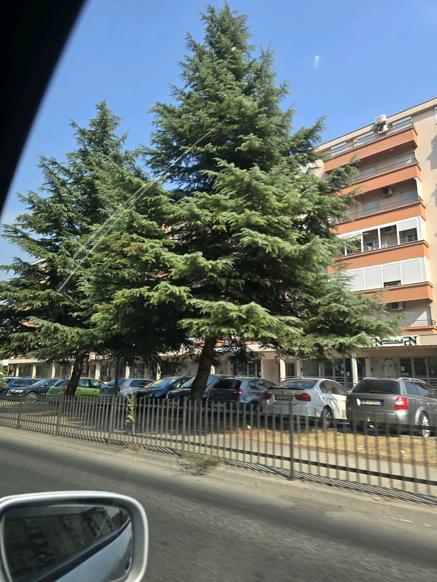 The image captures a street scene in Podgorica, Montenegro, on a clear, sunny day. Dominating the foreground and mid-ground are two tall, mature evergreen trees, their dense foliage casting shadows. Behind the trees, a multi-story building with a distinctive orange-toned facade is visible, featuring multiple balconies and windows with white shutters. The building appears to be a residential or mixed-use complex, with storefronts at the ground level. A line of parked cars, including a silver Audi station wagon, a white BMW sedan, and a green hatchback, are visible along the street, separated from the sidewalk by a metal fence. The reflection in the car's side mirror shows buildings across the street. The overall impression is a typical urban streetscape in the Balkans on a bright day.
