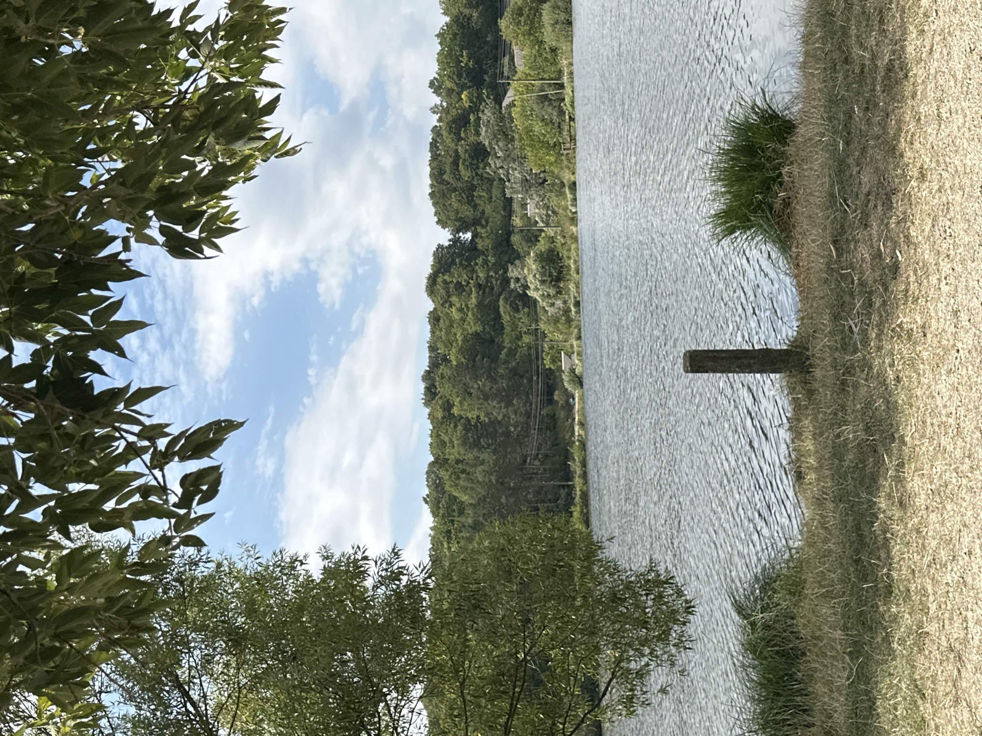 The image shows a natural scene with a body of water in the foreground and a densely wooded hillside in the background. The water is rippled, suggesting a light breeze. On the left side of the foreground, a portion of a leafy tree extends into the frame from the top. The grassy bank leading to the water features a weathered wooden post. The wooded hillside is covered in lush green trees, and scattered structures are visible amongst them, hinting at a semi-rural or suburban setting. The sky above is blue with scattered white clouds. The overall impression is a serene, natural landscape. Based on the provided context, this scene is located in the city of Makiv, Ukraine.