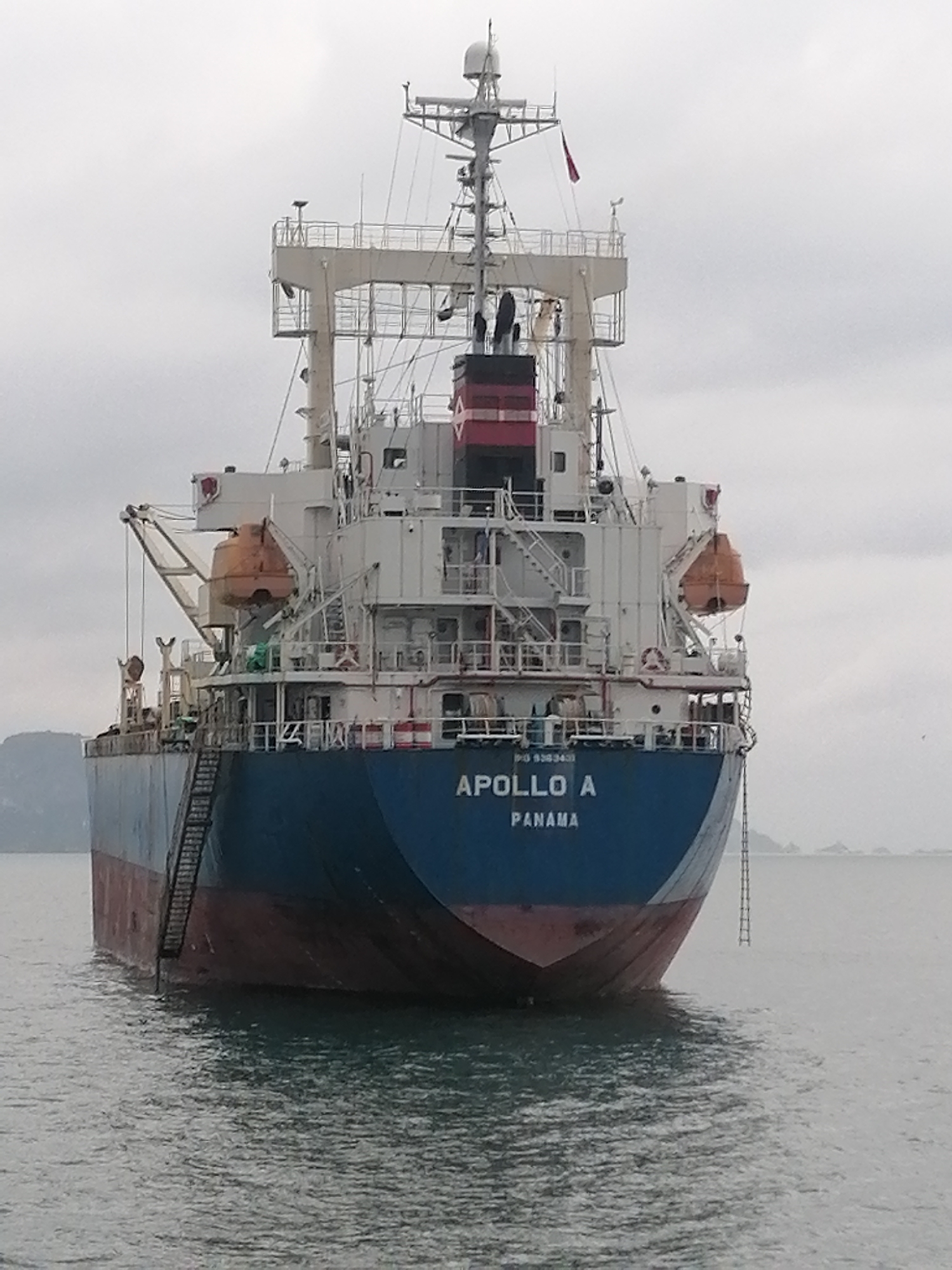 The image presents a stern view of a large cargo ship named "APOLLO A," stationary on calm, grey water under an overcast sky. The ship's hull is painted blue, with a red anti-fouling paint below the waterline. Its white superstructure rises prominently, featuring multiple decks, railings, and ladders. A black and red funnel is centrally located atop the superstructure, crowned by a mast equipped with various antennas and radar equipment. A small red flag flies from the mast.
Two orange, enclosed lifeboats are visible, mounted on davits on either side of the ship's stern section. A black pilot ladder hangs from the stern, reaching close to the water, while another ladder is secured to the port side of the hull. The ship's name, "APOLLO A," is boldly printed on its stern, along with its port of registry, "PANAMA." Partially visible numbers, "IMO 9382430," are also present on the hull.
In the background, distant land formations, likely limestone karsts, are visible through the haze, indicating a coastal setting. The calm water and overcast conditions suggest a quiet, possibly misty, daytime scene. The location context indicates this is Hong Gai Ward, Vietnam. No people are visible in the image.