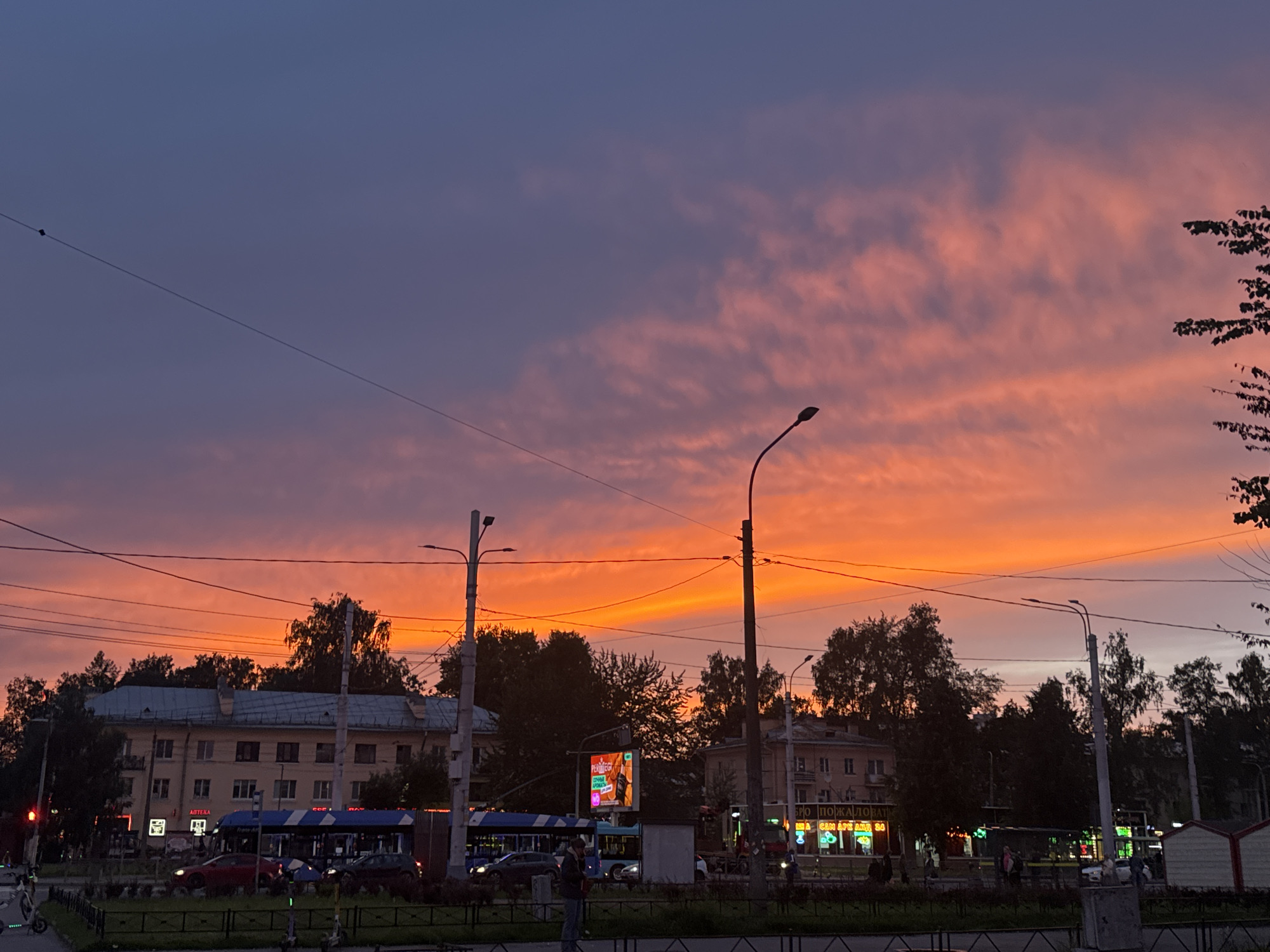 The image depicts a street scene in Lednevo, Russia, during a vibrant sunset. The sky is a gradient of deep blue and purple at the top, transitioning into a fiery orange and pink with scattered clouds. In the foreground, a street with a few cars and buses is visible. Several trees line the street, silhouetted against the colorful sky. Buildings, including what appears to be a pharmacy with Cyrillic signage, are situated along the roadside. Streetlights and utility poles with overhead wires are prominent features. The overall atmosphere is tranquil and picturesque, with the dramatic sunset dominating the scene.