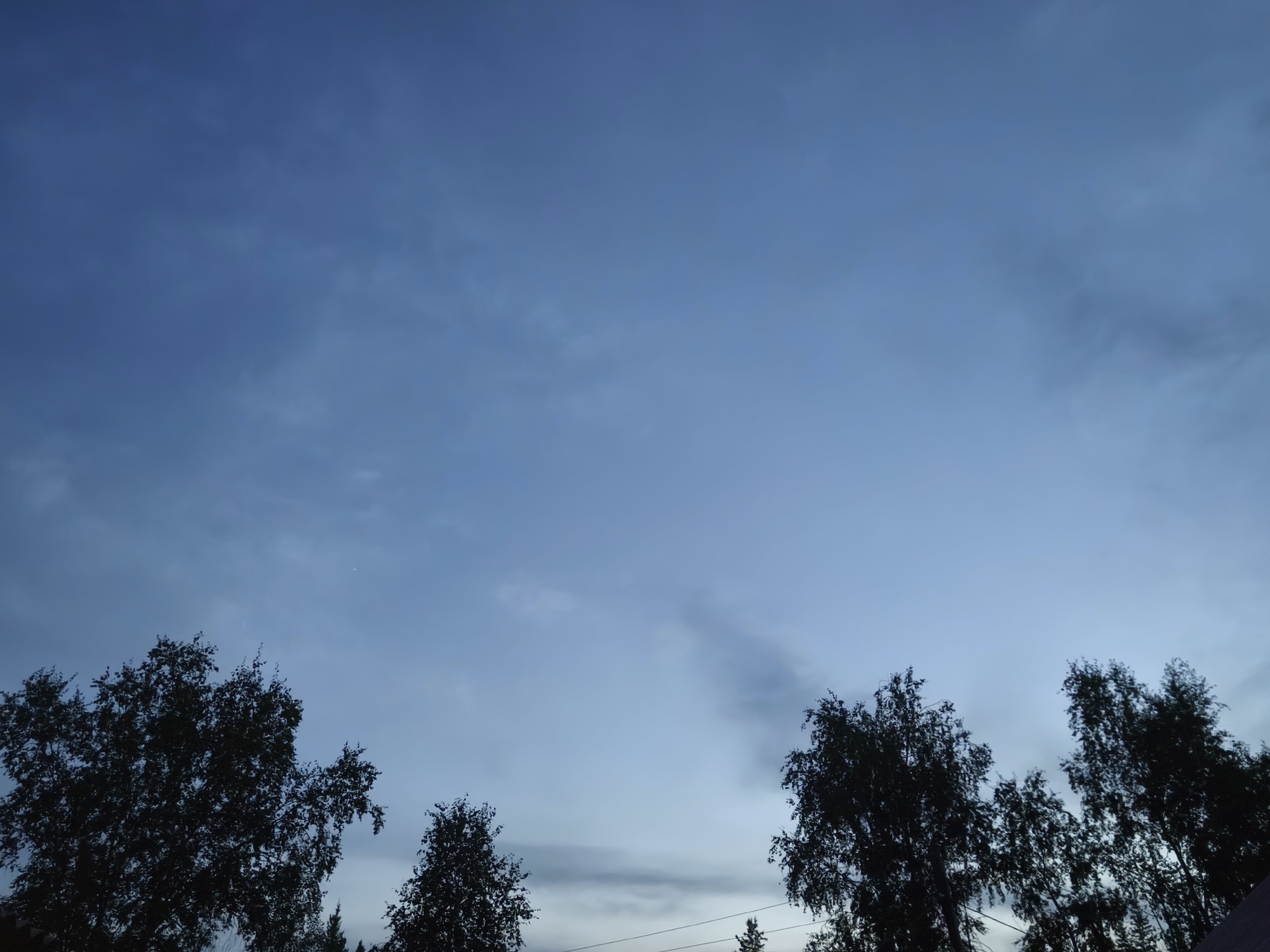 A silhouette of deciduous trees with a wide canopy is visible against a pale blue sky with wispy clouds. The sky appears to be in twilight, with a very subtle glow on the horizon. A small, bright object, possibly a distant star or planet, is faintly visible in the upper center of the frame. The trees are dark and detailed, with their branches reaching upwards. The image was captured in Kutana, Russia.