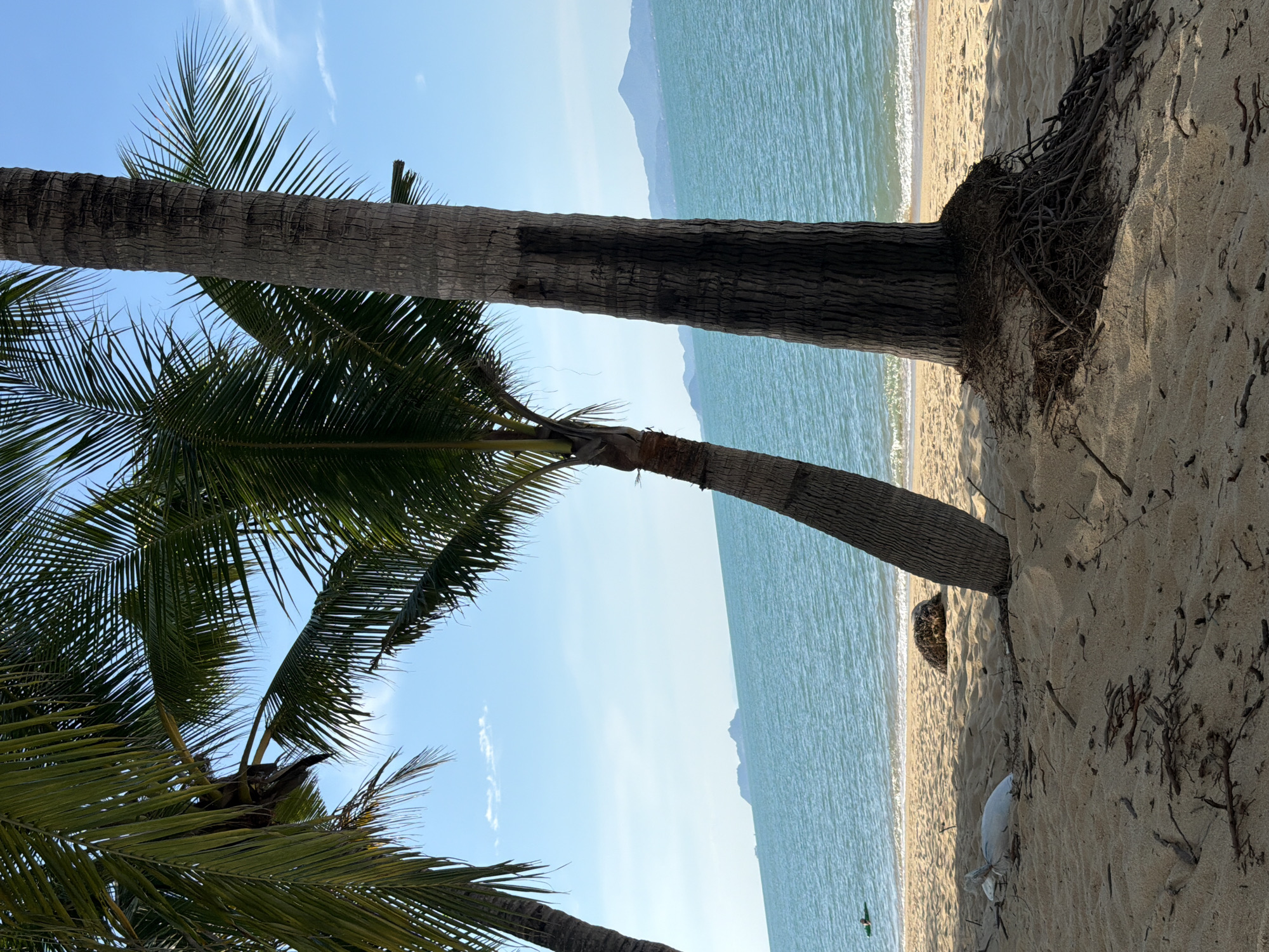 The image captures a serene beach scene in Baan Tai, Thailand, dominated by the lush fronds and textured bark of two prominent palm trees. The foreground features a sandy beach strewn with dried leaves and twigs, with a white bag and a dark, rounded object partially buried in the sand. A person is visible in the shallow, turquoise ocean water in the mid-ground, appearing to be swimming or floating. Beyond the water, a chain of islands and mountainous landmasses form the horizon under a clear blue sky with scattered wispy clouds. The overall ambiance is one of tranquility and tropical beauty.