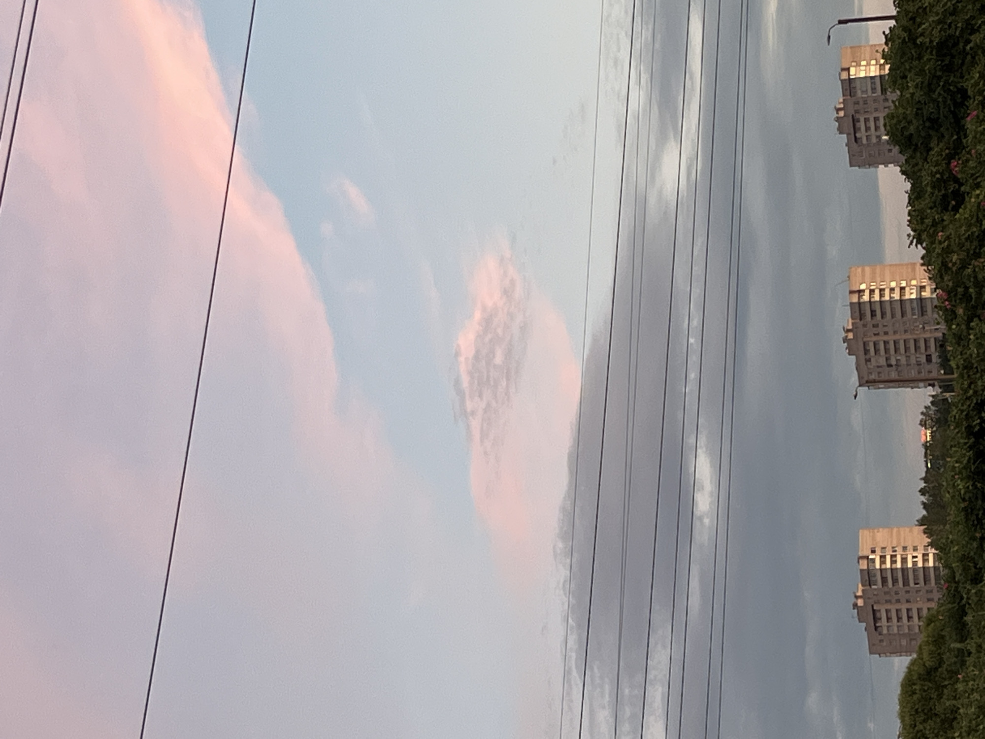 This is an outdoor, daytime, eye-level shot of a cloudy sky over buildings and trees in Saint Petersburg, Russia. In the foreground, there are three tall, residential buildings visible above a line of lush green trees. The buildings are similar in design, with multiple stories and windows. The sky above is filled with a mix of grey and pink clouds. Several dark electrical wires stretch horizontally across the frame, obscuring parts of the sky and the tops of the buildings. The lighting suggests it might be late afternoon or early morning, given the colors in the clouds and the warm glow on the buildings. There are no people or animals visible in the image. The overall impression is of an urban landscape under a dramatic sky.