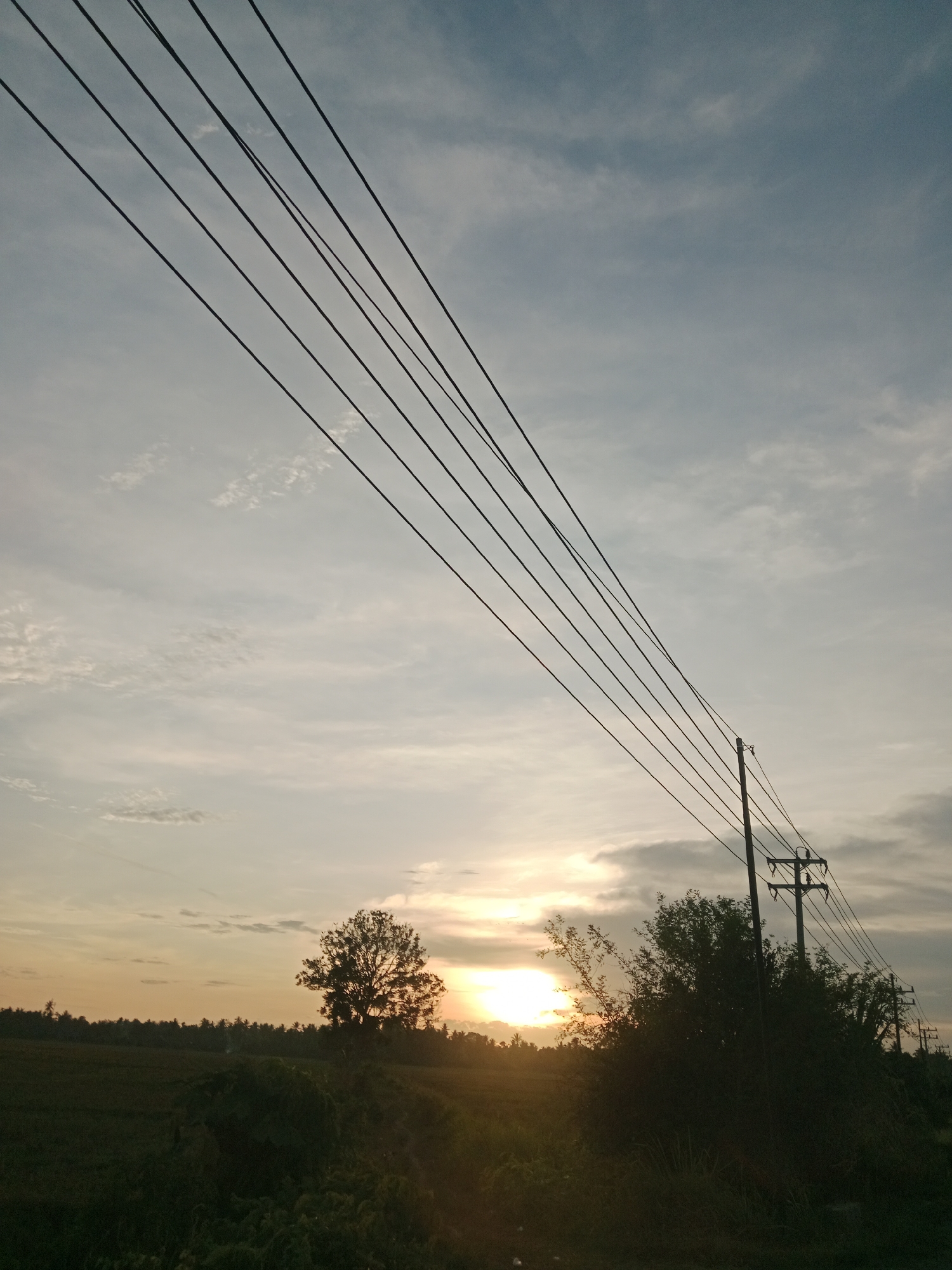 The image shows a rural scene in Cotentung, Indonesia at sunset. A field is visible in the foreground, with trees and vegetation obscuring some of the view. In the middle distance, the setting sun is partially obscured by the trees, creating a silhouette effect. Power lines run diagonally across the frame, attached to a utility pole in the midground. The sky is cloudy, with the sunset casting a warm glow on the clouds. No people are visible in the image.