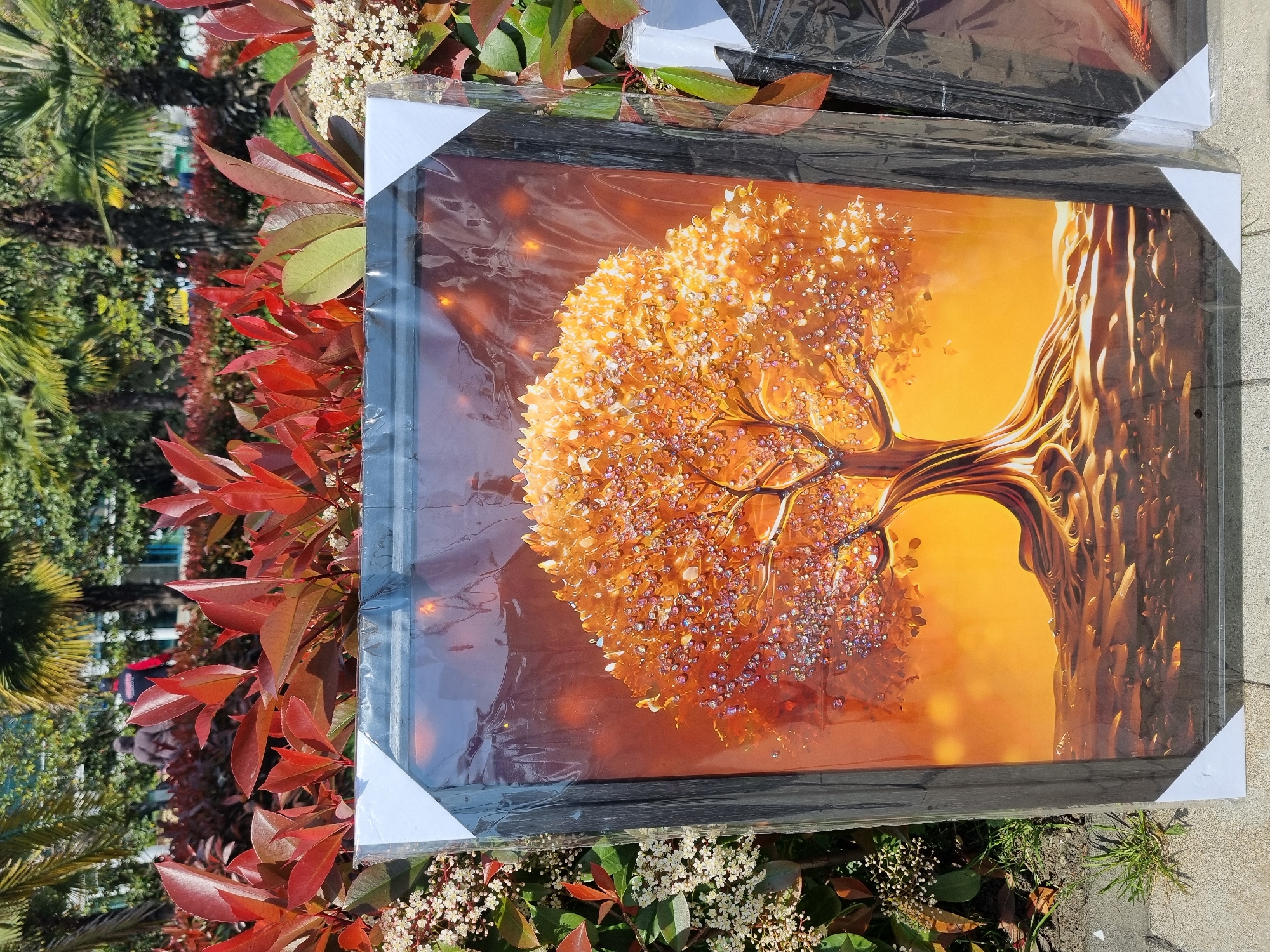 The central subject of the image is a framed picture depicting a stylized, vibrant golden tree. The tree features a dense canopy composed of numerous shimmering, golden and multi-colored gem-like clusters, suggesting a sparkling or jeweled effect. Its trunk and roots are intricately gnarled and textured, with a metallic or polished appearance, blending into a warm, bright orange and yellow background.
The picture is enclosed in a black frame and protected by clear plastic wrapping, with white cardboard corner protectors visible on its edges. It is displayed outdoors, resting amidst lush natural vegetation. In the foreground and surrounding the frame are bushes with bright red leaves and clusters of small white flowers. Further in the background, various green trees are visible, including what appear to be palm trees, suggesting a subtropical climate. Hints of light-colored pavement or ground are present around the base of the frame.
The scene takes place during bright daylight, indicated by the clear illumination and the absence of artificial light sources. The weather appears sunny. There is no visible text on the picture or its packaging. The lush flora and palm trees are consistent with the specified location context of Sochi, Russia.