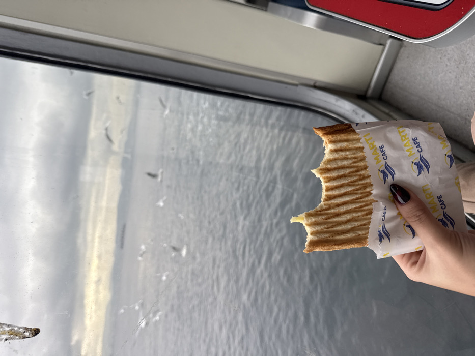 The image captures a first-person perspective from inside a moving vessel, likely a ferry or boat, overlooking a body of water. A person's hand, with dark nail polish, holds a partially eaten toasted sandwich. The sandwich is wrapped in paper printed with the text "MARTI CAFE" and a blue seagull logo, repeated across the wrapper.
Through the window, a vast expanse of water is visible, characterized by gentle ripples on its surface, suggesting movement of the vessel. The sky appears overcast, casting a soft, diffused light on the scene. Several small, white shapes, likely distant seagulls or other birds, dot the water's surface. Water droplets are present on the windowpane, possibly from sea spray or light rain. The interior visible includes a window frame and a glimpse of what might be seating or an interior panel with a red and blue trim at the top right. The overall setting suggests a casual travel experience on a body of water, consistent with ferry routes around Gebze, Turkey, on the Marmara Sea.