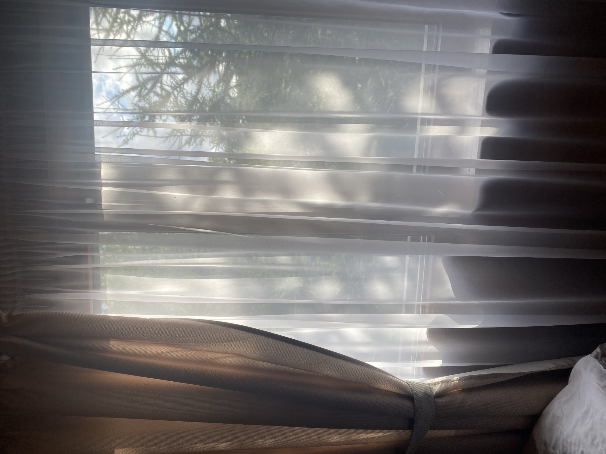 The image shows a close-up view of a window with sheer white curtains and a thick brown curtain pulled to the left, partially covering the window. Sunlight streams through the sheer curtains, creating patterns of light and shadow. Outside the window, visible through the translucent fabric, are the branches of a green tree against a bright sky with scattered clouds. The scene appears to be indoors, likely in a residential setting, and the lighting suggests it is daytime. There are no people or animals visible in the image. The location is identified as Krasnoflotskoe, Russia.