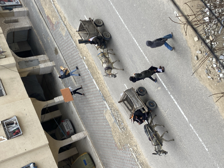 An elevated view captures a street scene in Khan Yunis, Palestinian Territory. The scene features a paved asphalt road marked by two parallel white lines, bordered on the left by a patterned concrete sidewalk and on the right by a rough dirt strip with scattered debris including rocks and twisted rebar.
On the paved road, two donkey-drawn carts are moving left-to-right. The lead cart, constructed of dark wood with four small wheels, carries a passenger seated on dark material and has a dark pole with a white and black item attached vertically at its rear. It is pulled by a light-colored donkey. Following this is another similar cart, also pulled by a light-colored donkey, carrying one individual wearing dark clothing. Further down the road, closer to the viewer, three pedestrians are walking right-to-left. One individual, wearing a dark hooded jacket and blue jeans, walks alone. Another pair walks together; one wears a dark hooded jacket and dark pants, holding a white object, while the other is mostly obscured.
On the patterned sidewalk parallel to the road, two individuals are walking right-to-left. One carries a large, flat, rectangular, orange-brown panel horizontally on their back. The other carries a cardboard box and a folded piece of patterned fabric.
Adjacent to the sidewalk is a multi-story building with beige-colored walls. Its ground floor features arched open bays, one of which contains a parked silver sedan. Upper-level windows are fitted with security bars, and fabric or clothing is visible hanging from one of them. The lighting suggests an overcast sky.