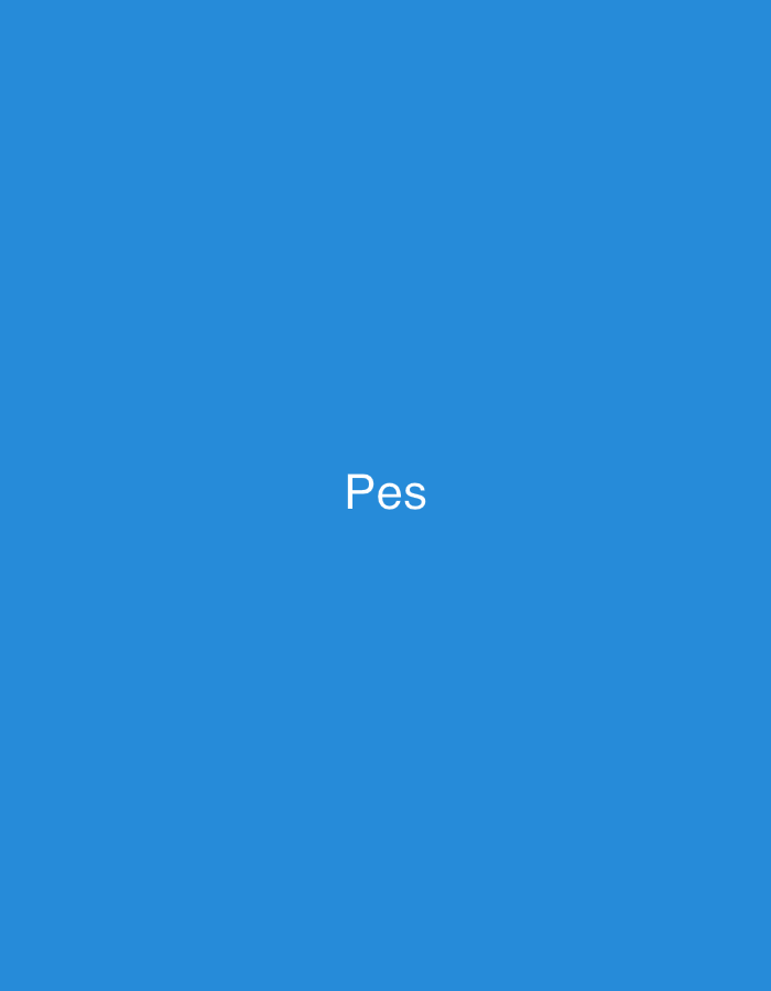 The image displays a solid blue background. The word "Pes" is presented in white, sans-serif text, centrally located on the blue field. No other discernible objects, people, actions, or environmental features are present. The content does not provide any visual information to determine a specific physical location, including in Casablanca, Morocco.