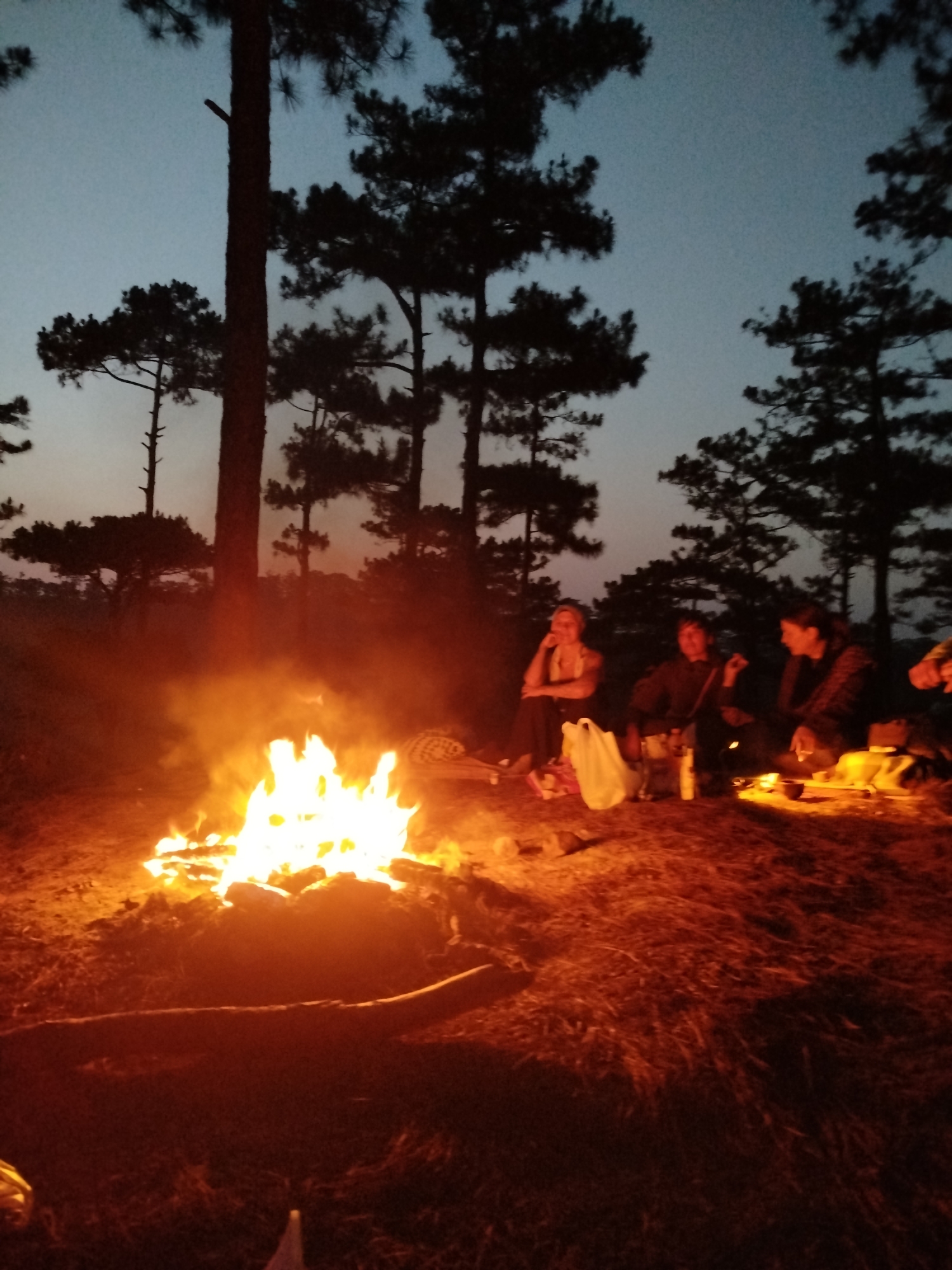 The image depicts a group of people gathered around a campfire at dusk in Lạc Dương, Vietnam. Pine trees surround the open area where the fire burns brightly. Four people are sitting near the fire, appearing to be engaged in conversation and relaxation. A plastic bag and other unidentified items are placed on the ground nearby. The sky is dusky, suggesting either early evening or early morning. The ground appears covered in dry grass or pine needles.