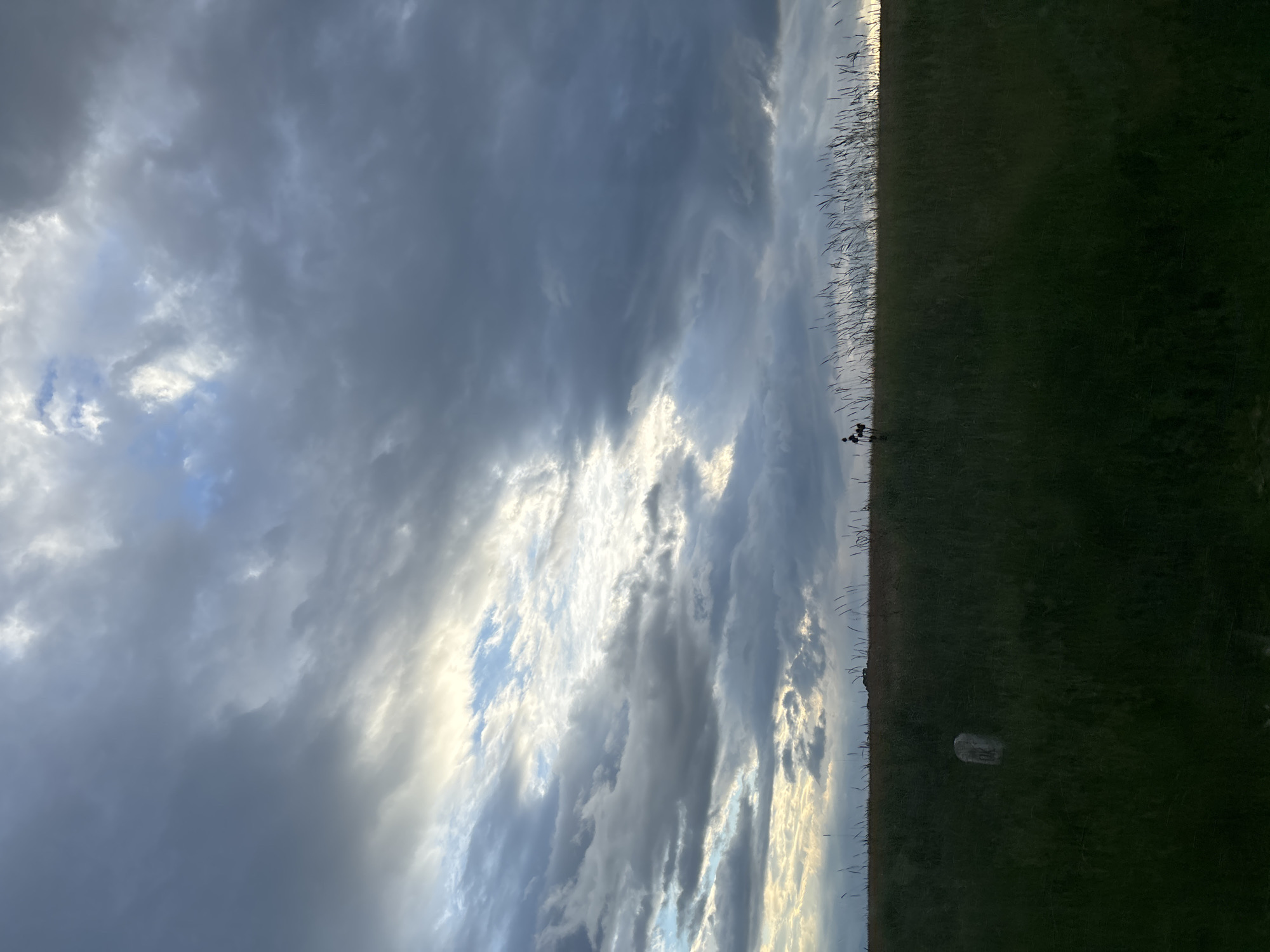 A landscape image shows a field of tall green grass under a sky filled with billowing gray and white clouds. The grass appears uneven and wild, with some areas more densely vegetated than others. Scattered throughout the field, particularly near the center of the image, are thin, dry stalks of plants. To the left, the sky dominates the view, filled with heavy, layered clouds that obscure much of the sunlight. A single, off-white object is visible near the bottom center of the image. Two people are standing near the center of the image where the field meets the horizon. The location is in Baylovo, Bulgaria.