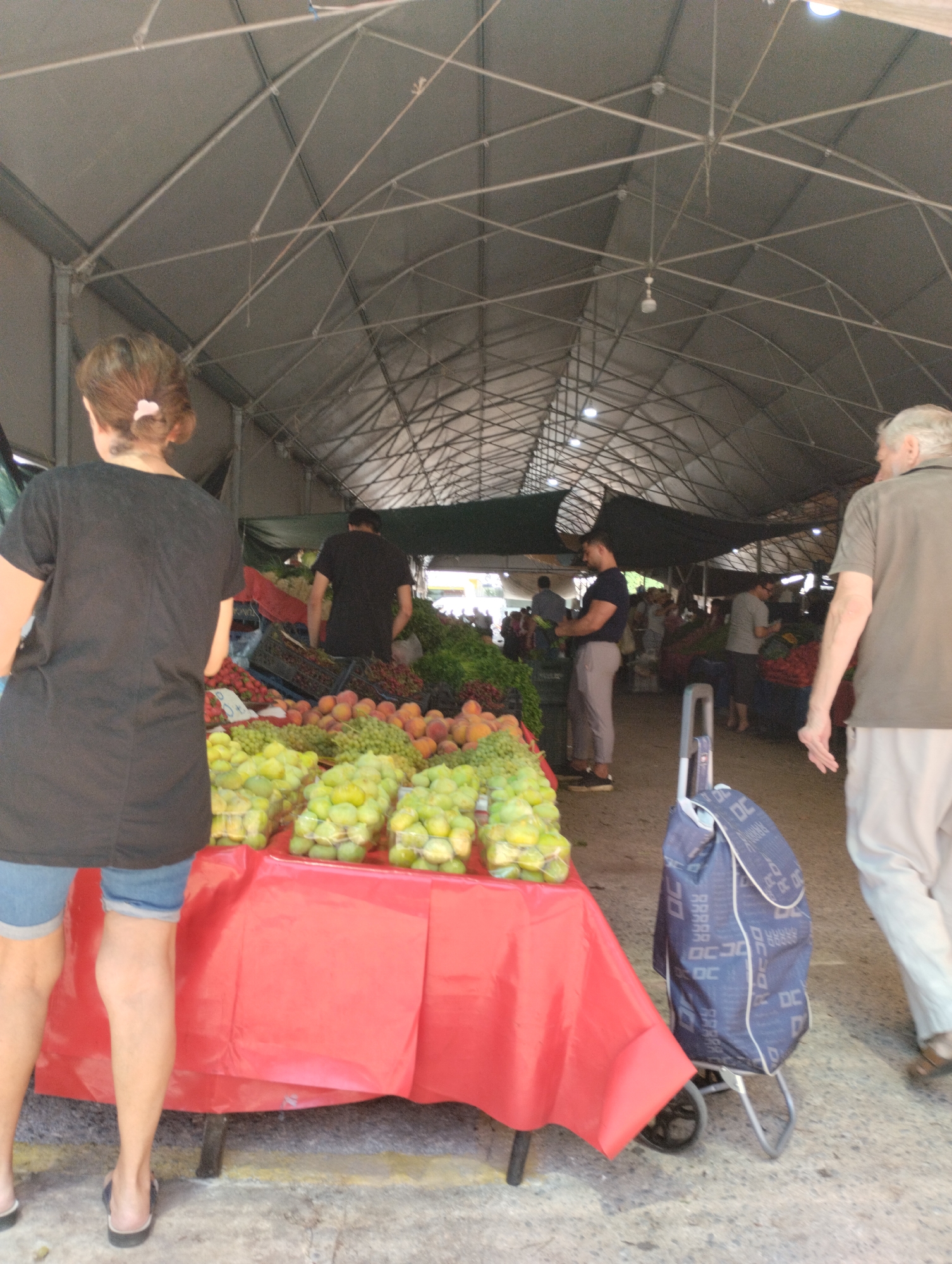 The image depicts a busy outdoor market scene in Mezitli, Turkey. Several people are browsing or working at stalls laden with fresh produce. In the foreground, a woman with her back to the camera, wearing a black t-shirt and denim shorts, stands near a table covered with a red cloth. On the table are large quantities of green grapes. To her right, a blue shopping trolley with a patterned design is parked.
Further into the market, men are visible behind stalls of fruits and vegetables. One man in a black t-shirt is attending to a display of produce, while another, wearing a grey t-shirt and shorts, appears to be a shopper. The market is covered by a large, arched tent structure supported by metal beams, suggesting it is an open-air market with a protective covering. The lighting suggests it is daytime. The ground appears to be concrete, with a yellow line marking a boundary. The overall impression is one of a vibrant, active marketplace.