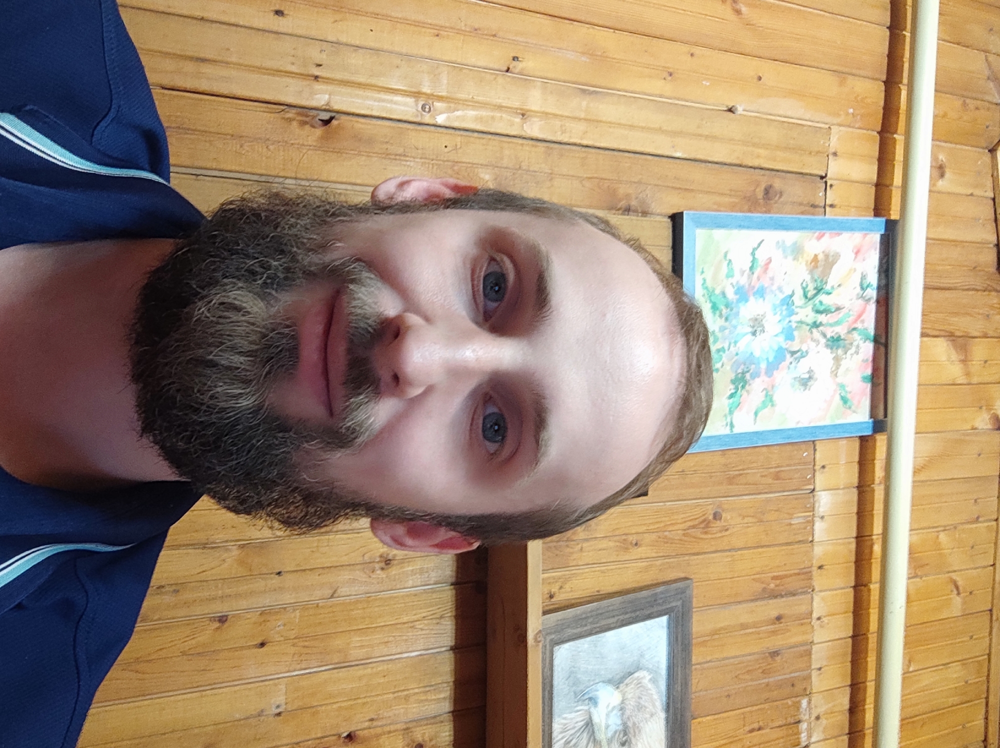 A man with a full beard, light brown hair, and blue eyes is captured in a close-up portrait, looking directly at the camera with a neutral expression. He is wearing a dark blue polo shirt with light blue and white striped trim on the collar/shoulder area.
The background consists of a wall made of horizontal wooden planks, suggesting an interior setting with a rustic aesthetic. Two framed paintings hang on this wooden wall. The upper painting, framed in light blue, features an abstract or floral design with vibrant green, blue, pink, and white hues. Below it, partially visible, is another painting in a darker frame, depicting what appears to be an animal or creature, possibly a bird with prominent feathers. A light-colored pipe, possibly utility piping, runs vertically along the right side of the image, positioned against the wooden wall.
The image appears to be taken indoors in Kratovo, Russia. There is no visible text.