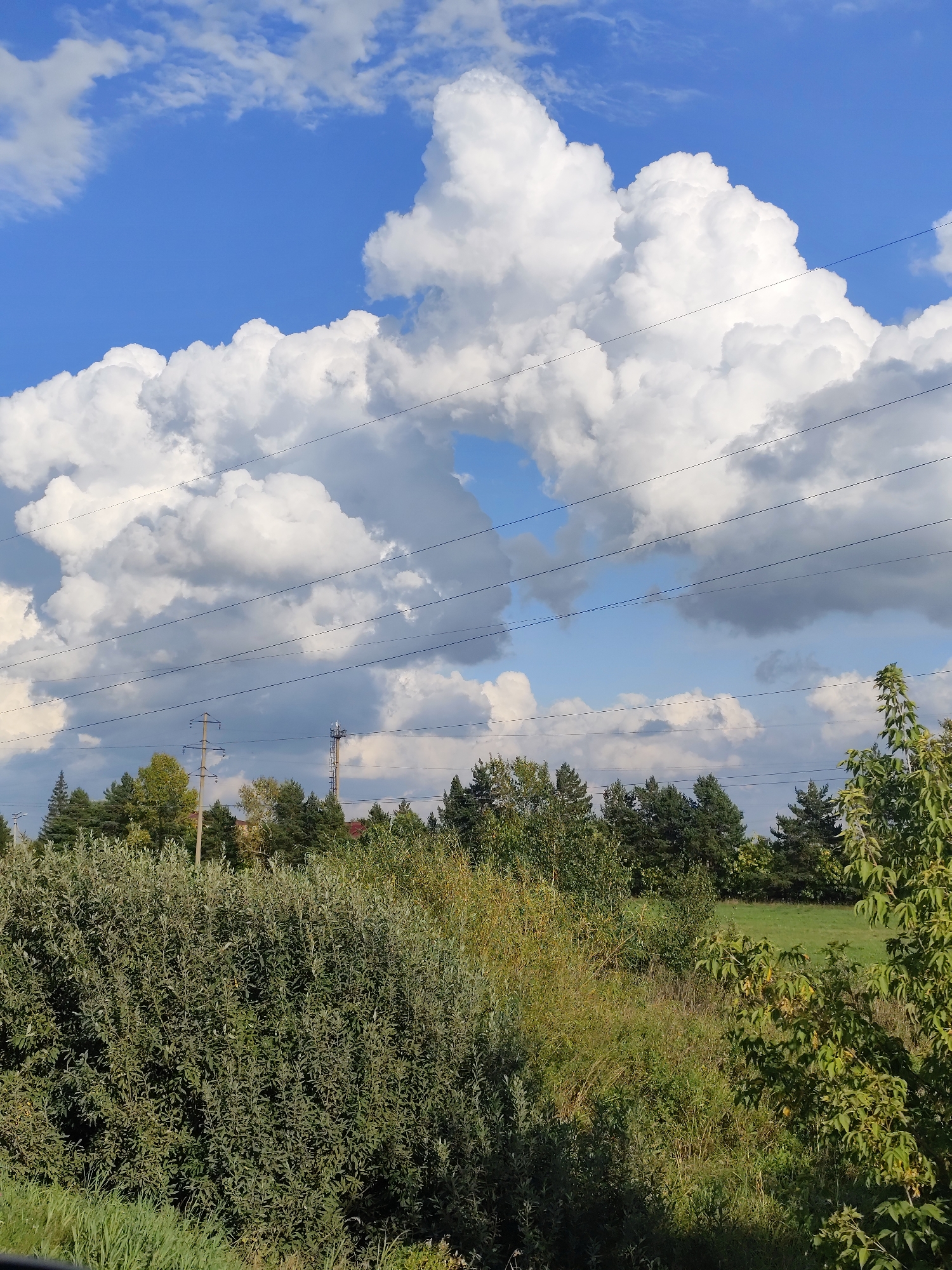 The image depicts a rural landscape with a prominent blue sky filled with dramatic, fluffy white cumulus clouds. Several power lines are strung horizontally across the frame, bisecting the sky and creating a layered effect. Below the sky, a dense line of green trees forms a natural boundary, with a mix of coniferous and deciduous varieties visible. In the foreground, a thicket of green bushes and tall grasses dominates the lower half of the image, with some dry grass interspersed. To the right, a vibrant green grassy field can be seen behind the trees. In the distance, a solitary tower, possibly a communication tower, stands out against the treeline. The scene is naturalistic and appears to be taken during daylight hours. There are no people or animals visible in the image. The overall impression is one of a serene, somewhat untamed natural environment, possibly on the outskirts of a settlement within the Рощин ауылдық округі, Kazakhstan, given the presence of utility infrastructure.