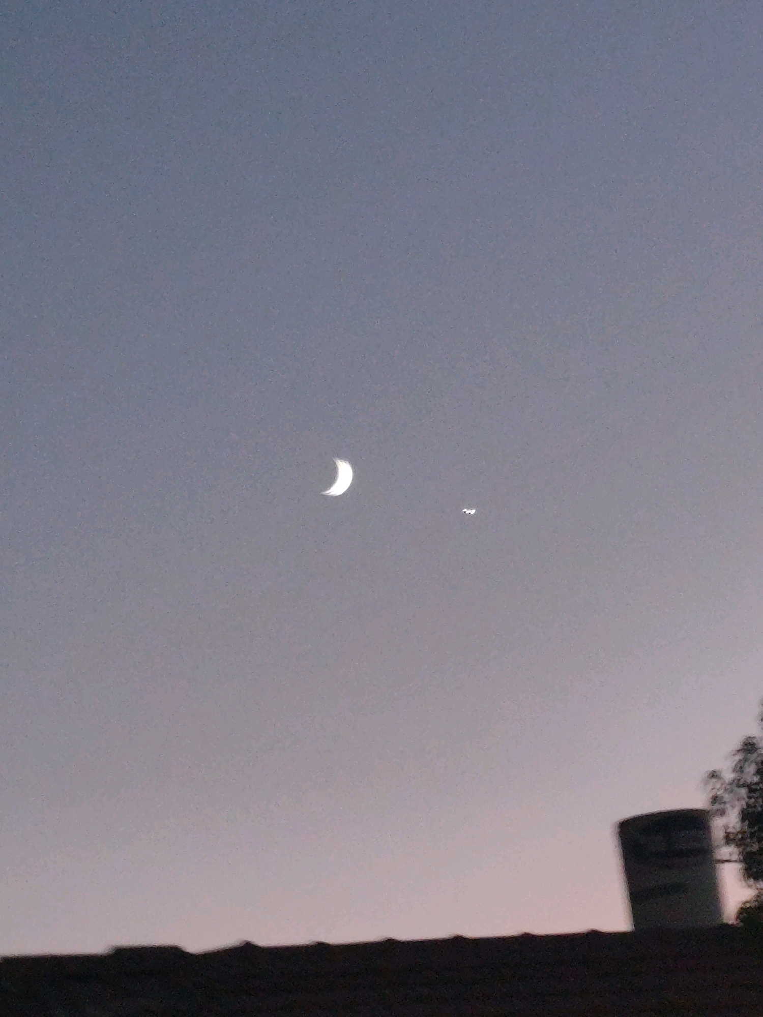 The image shows a crescent moon in a dusky sky above Yerocham, Israel. A small, white, irregularly shaped object, possibly a bird or an insect, is visible to the right of the moon. In the foreground, the dark silhouette of rooftops is visible, with a portion of a cylindrical structure, possibly a water tower or chimney, and a tree to the right. The sky is a gradient of pale blue and pink.