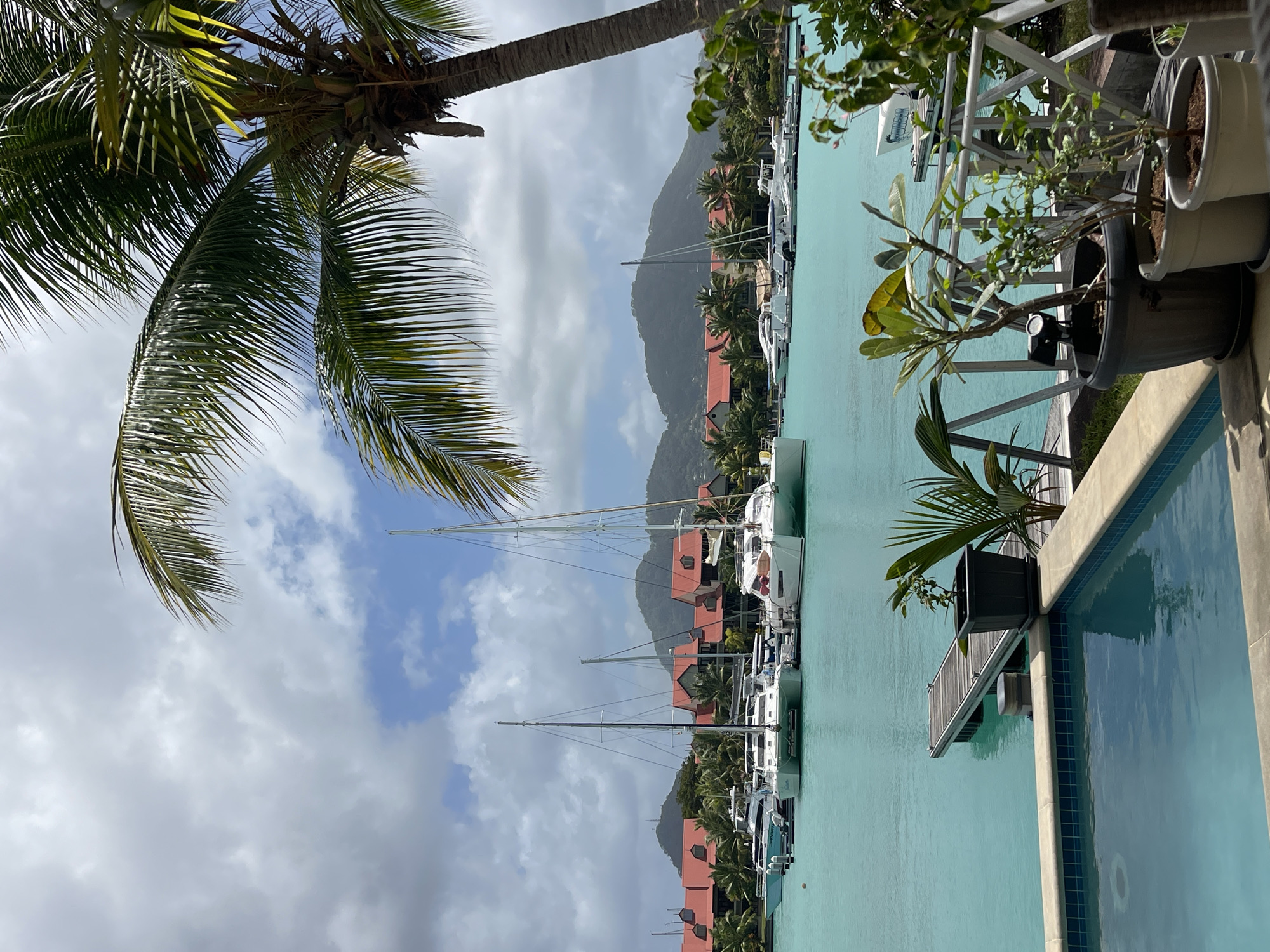 The image depicts a serene marina scene in Providence, Seychelles. The foreground features a section of a swimming pool with turquoise water and a tiled edge. To the right of the pool, a wooden deck with a white railing overlooks the water. Several potted plants, including a small tree with broad leaves and a palm-like plant, are situated on the deck.
Beyond the pool and deck, a calm, clear turquoise body of water stretches out, serving as a marina. Several white sailboats and yachts are docked, their tall masts prominent against the sky. A wooden jetty extends into the water from the left side of the image.
In the background, a line of buildings with distinctive red-tiled roofs are visible, nestled amongst lush green palm trees and other tropical vegetation. Beyond the buildings, rolling green hills and mountains form the backdrop, with a cloudy sky overhead. The overall atmosphere is one of tropical tranquility and leisure.