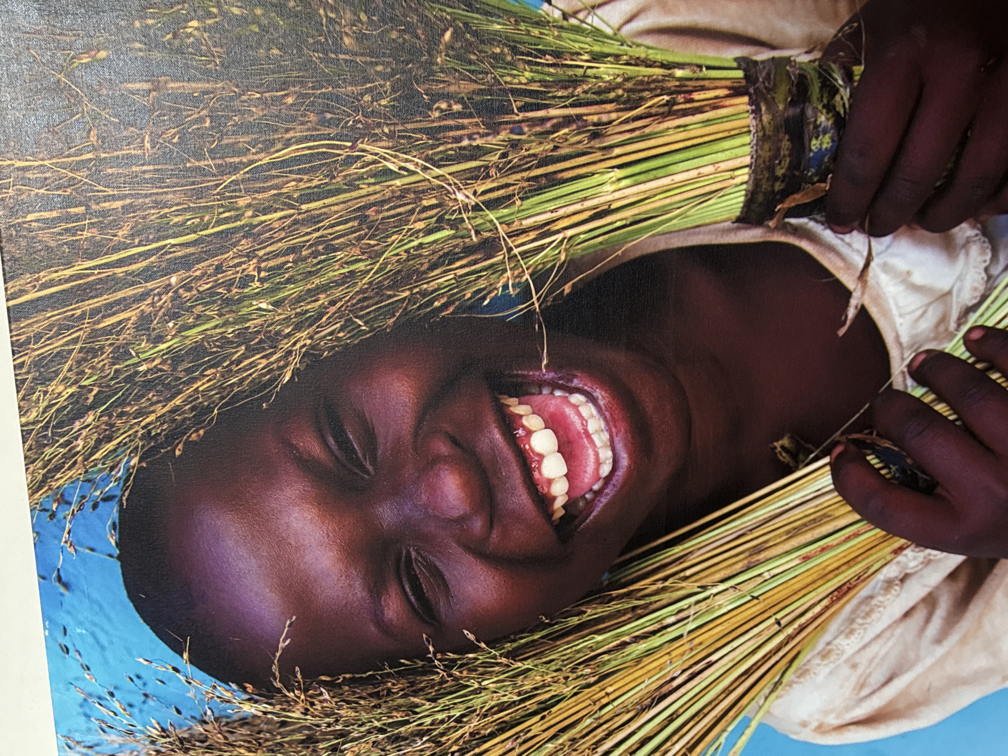 The image shows a close-up of a young person with dark skin, laughing heartily while holding two bundles of dry grass or reeds. The person's eyes are partially closed, and their mouth is wide open, revealing white teeth and pink gums. They are wearing a light-colored, possibly linen, shirt with lace trim. The background is a vibrant blue. The grass bundles are predominantly green and yellow, with some darker elements. The image appears to be a photograph with a textured surface, suggesting it might be a print or canvas. There is no indication of the city of Bad Blankenburg, Germany, in the image.