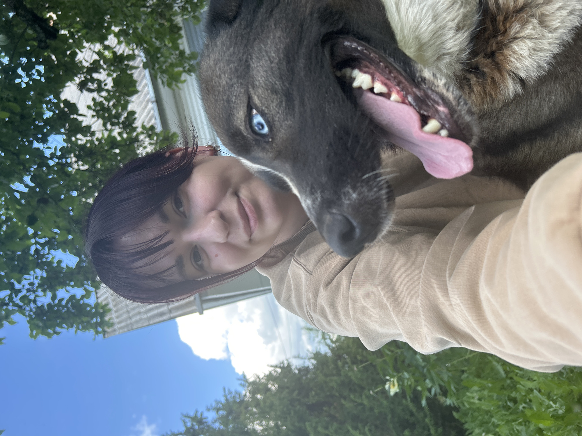 A close-up outdoor selfie depicts a young woman and a dog in Фоки, Russia. The woman, positioned on the left, has short, dark, chin-length hair with bangs, a light complexion, and a small reddish mark on her left cheek. She wears a beige, ribbed, long-sleeved top and has multiple small earrings in her visible left ear. She is looking directly at the camera with a subtle smile.
The dog, partially obscuring the woman's right side, is a medium-to-large breed with dark fur (black/dark brown) and lighter (white/tan) markings on its muzzle, chest, and front leg. Its left eye, prominently visible, is a striking bright blue. Its pink tongue is extended, indicating panting, and white teeth are visible within its open mouth.
The background features a clear blue sky with white cumulus clouds, indicating a bright, sunny day. Dense green foliage, including tall evergreen trees on the left and deciduous trees with lighter leaves on the right, is visible. A light-colored building with a grey corrugated roof and a white gutter/downspout is positioned behind the subjects, slightly off-center to the right. The image is taken from a slightly low perspective, consistent with a handheld selfie.