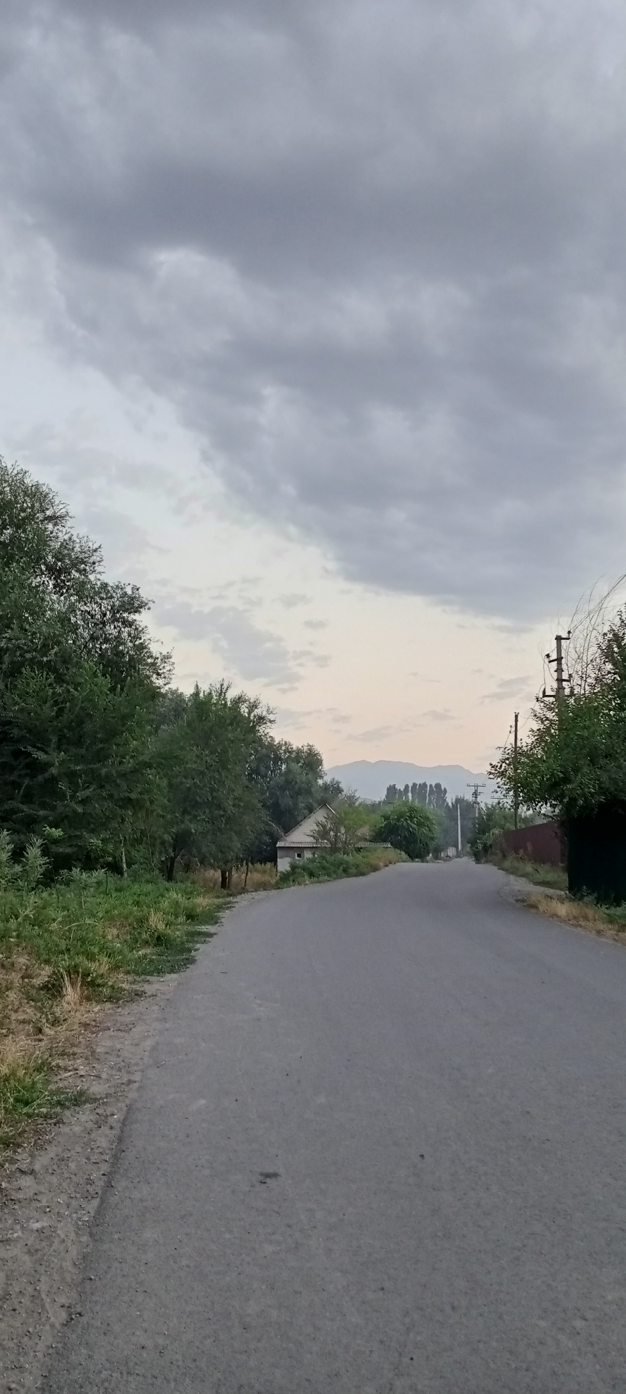 A paved road curves gently towards a distant horizon under a cloudy sky. On the left side of the road, lush green trees and foliage line the verge, leading to a small, white-walled house with a grey roof. Further down the road, more trees and some indistinct structures are visible, with a row of tall, slender trees silhouetted against the lighter sky. On the right side of the road, a dark fence separates the road from a dark, bushy area. A utility pole with wires stands prominently near the right edge of the frame. In the far distance, a mountain range is faintly visible, suggesting a rural or semi-rural setting on the outskirts of Sokuluk, Kyrgyzstan.