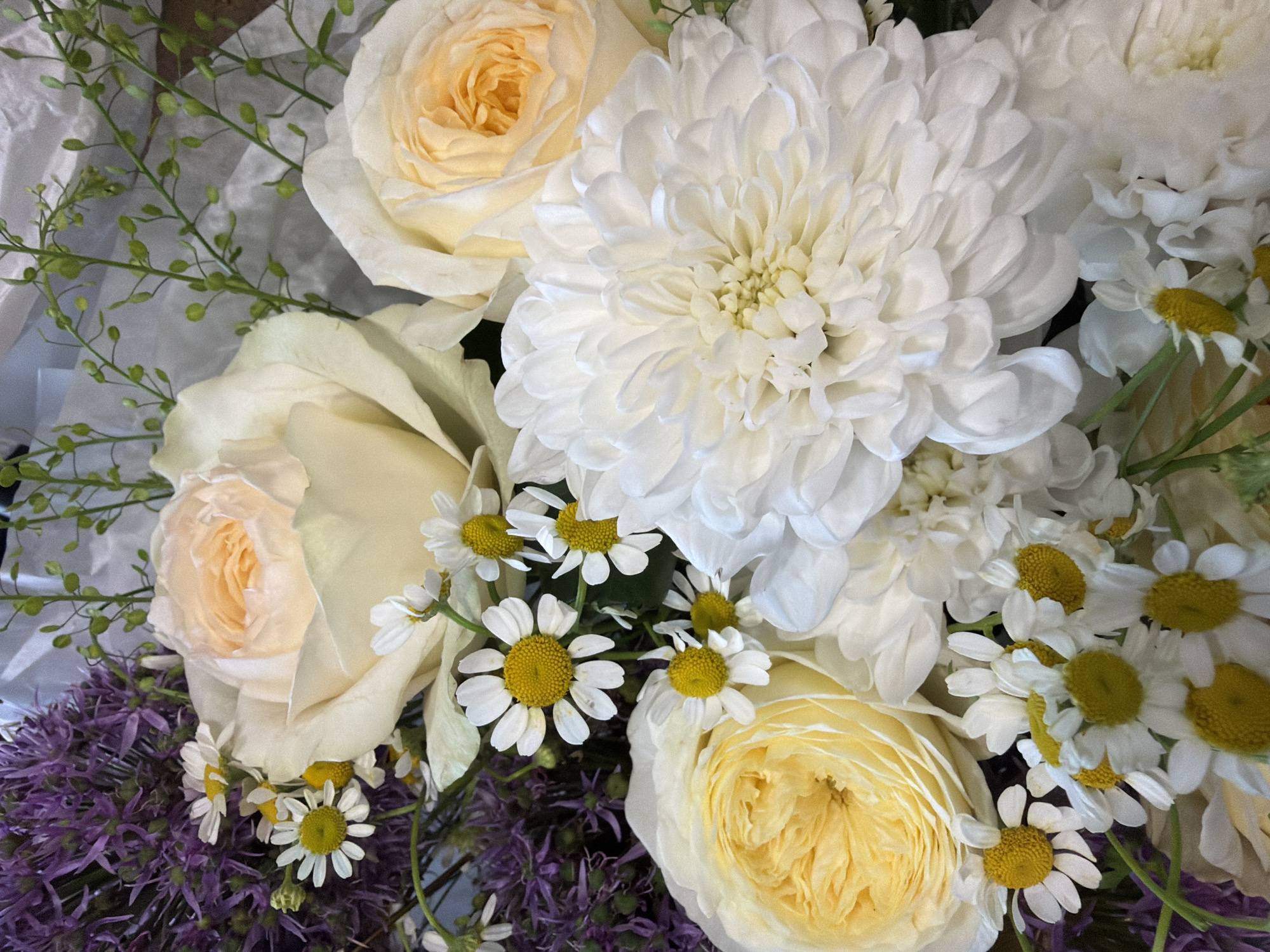A close-up, overhead shot shows a bouquet of flowers. The bouquet is arranged with large white chrysanthemums, cream and pale yellow roses, small daisies with yellow centers, and purple alliums. Delicate green stems and buds are interspersed throughout the arrangement. The flowers are predominantly white and pale yellow, with a pop of purple from the alliums. The background is softly blurred, appearing to be white tissue paper. The lighting is natural, highlighting the textures and colors of the flowers.