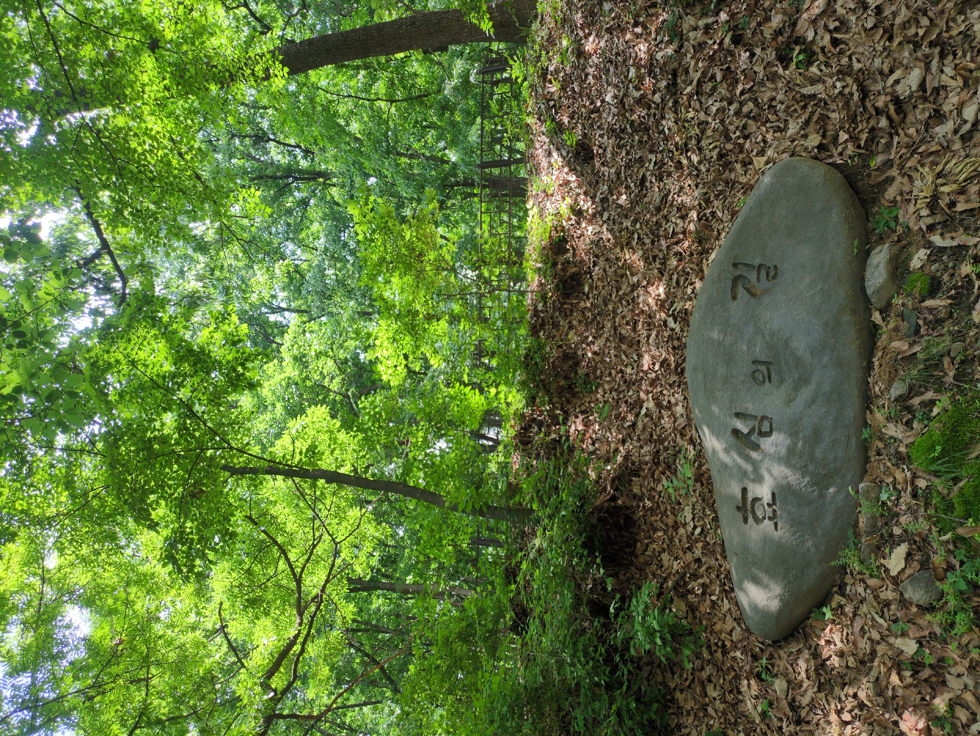 The image shows a stone marker in a forested area in Gongju-si, South Korea. The stone is inscribed with Korean characters. The ground around the stone is covered in fallen leaves. Lush green foliage is visible in the background. The camera's perspective is rotated, presenting the scene at an angle. The scene conveys a natural, outdoor setting.