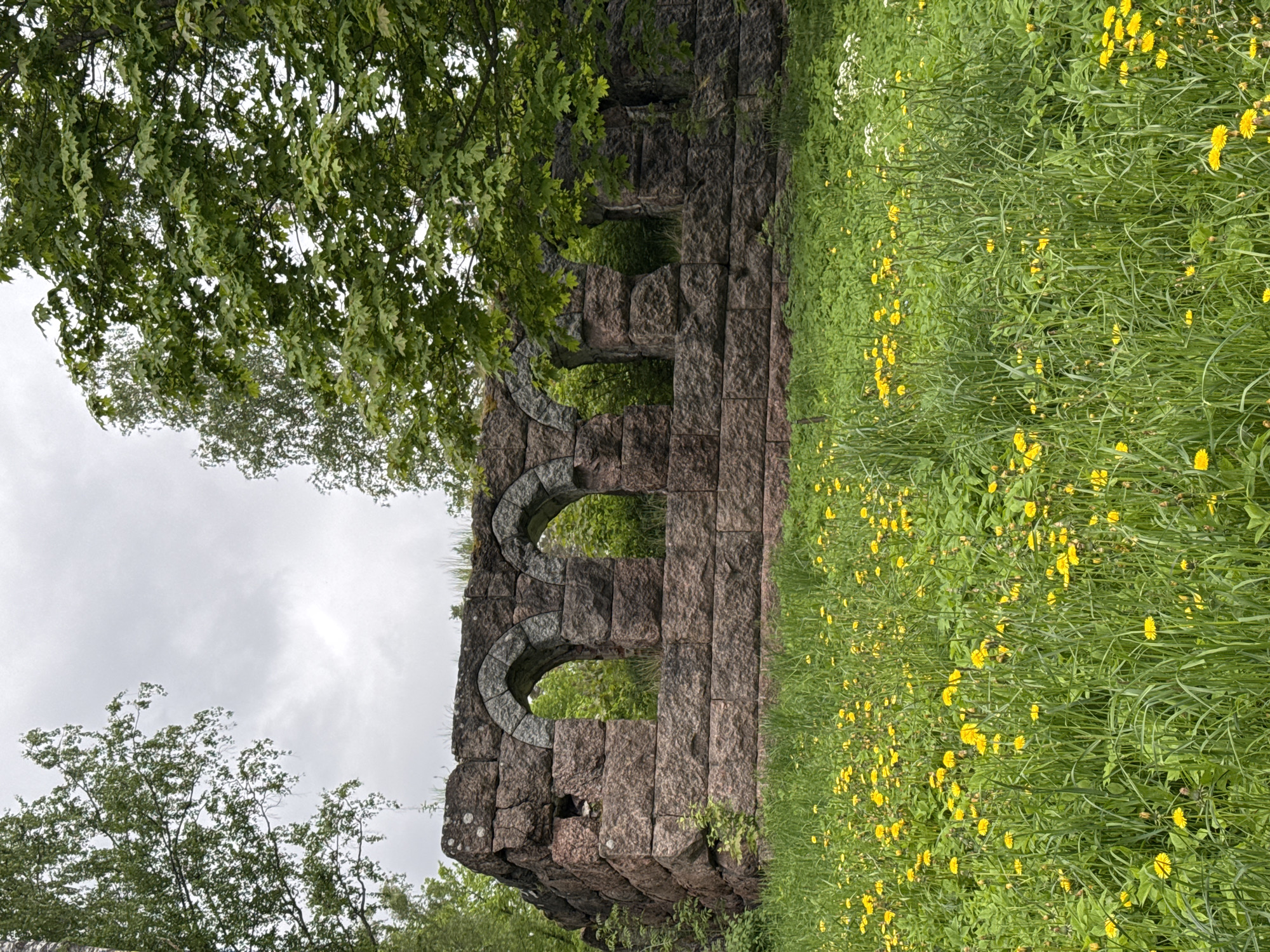 The image shows a ruined stone structure with three arched openings, surrounded by a grassy field with numerous yellow dandelions. The structure is made of large, rough-hewn stones and appears aged and weathered. Trees partially obscure the structure on both sides. The sky is overcast. The location is Aleksandrovka, Russia.