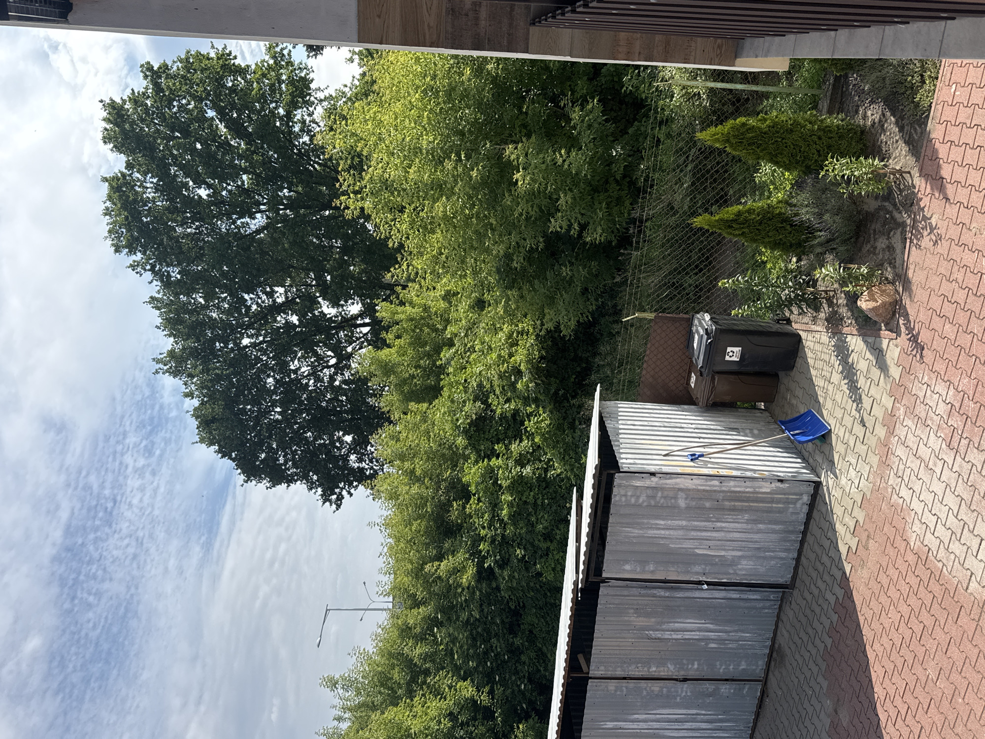 A bright, daytime, outdoor shot depicts a communal waste bin area and a storage structure, likely in Marki, Poland, given the context. The foreground is paved with interlocking red and grey bricks, with a sharp shadow cast by the storage structure onto the bricks, indicating the sun is to the left. The storage structure itself is made of corrugated galvanized metal with three separate compartments, each with a front door. A bright blue shovel leans against the rightmost section of the storage structure. To the right of the storage structure, a brown and a black waste bin stand side-by-side. Beyond the bins, a small garden bed contains two conical evergreen trees, some lavender bushes, and smaller plants, with a rock present in the foreground of the garden. A wire mesh fence runs behind the garden bed, separating it from a densely vegetated area of lush green trees and foliage. In the background, two streetlights are visible, along with the tops of large trees. The sky above is partly cloudy with streaks of white clouds against a blue sky. The right edge of the image shows the exterior of a building with wooden siding. No people are present in the scene.