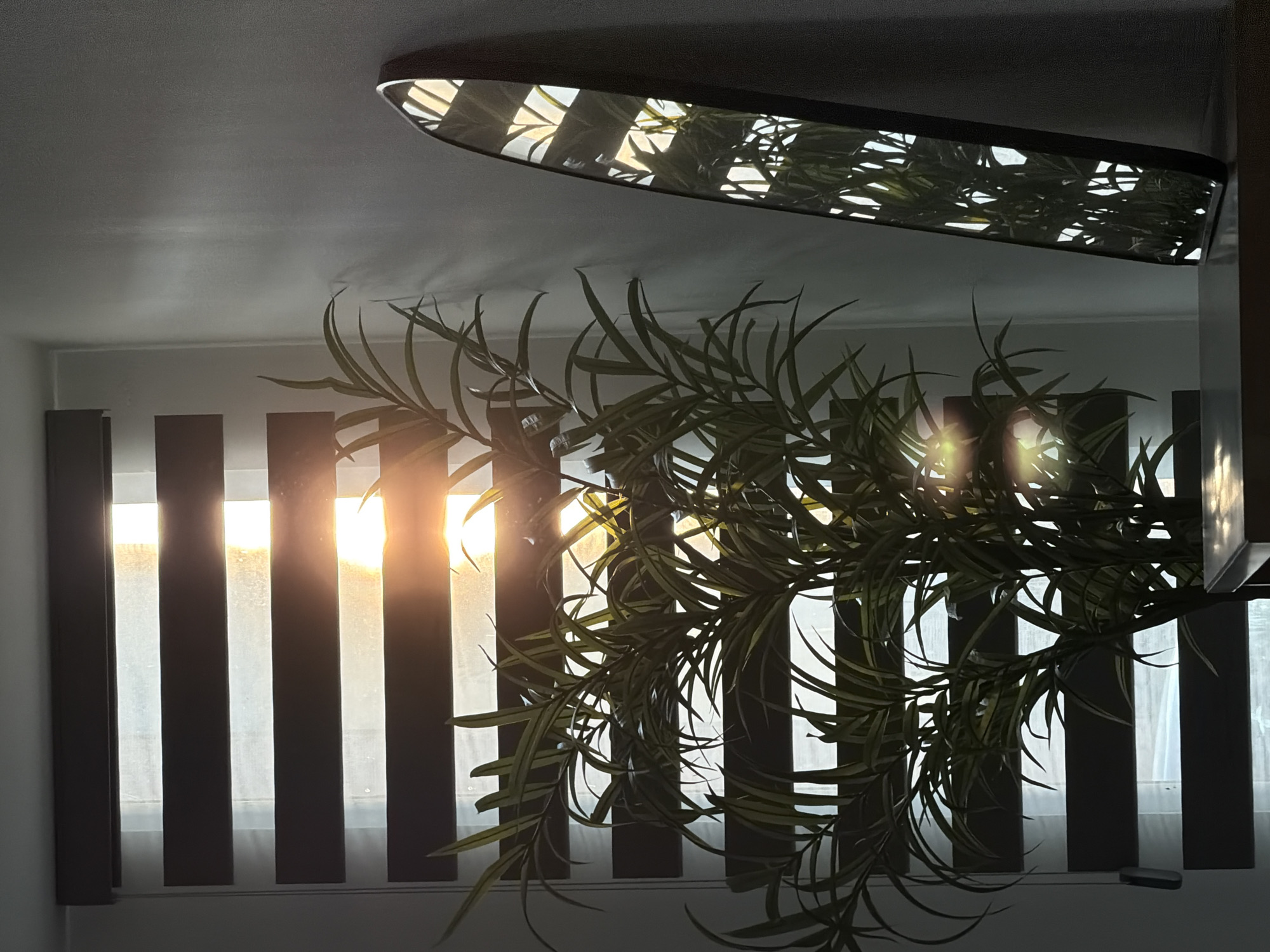 The image shows a room interior. Sunlight shines through a window covered with vertical blinds. A plant stands in front of the window, partially obscuring the view. A ceiling light fixture is visible above. The location and specific details relating to Santa Clara Ocoyucan, Mexico, are not discernible from the image.
