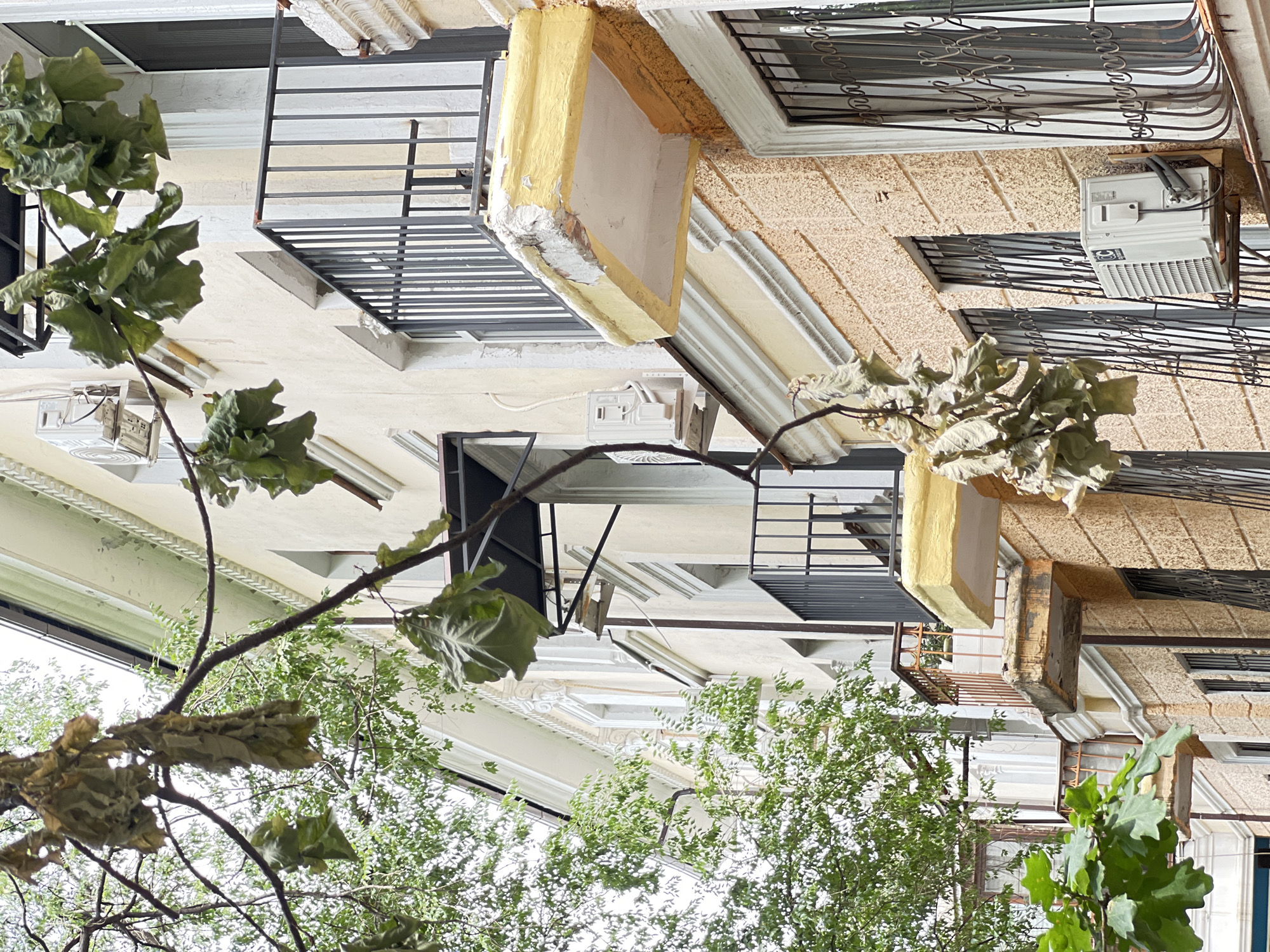 The image captures an upward-angled view of a multi-story building with a textured, light-brown facade, adorned with ornate window bars. Several windows are visible, some featuring air conditioning units. The building's exterior shows signs of wear, with peeling paint and exposed materials on some architectural elements, particularly a prominent yellow-trimmed projection. Lush green foliage from trees branches into the frame from the bottom and sides, suggesting an outdoor setting. The perspective is unusual, as if looking up from ground level through the trees towards the building. The lighting suggests daylight, possibly midday, with harsh shadows visible in some areas. No people or specific activities are depicted. The scene appears to be an urban or suburban environment in Almaty, Kazakhstan, characterized by older architecture and dense vegetation.