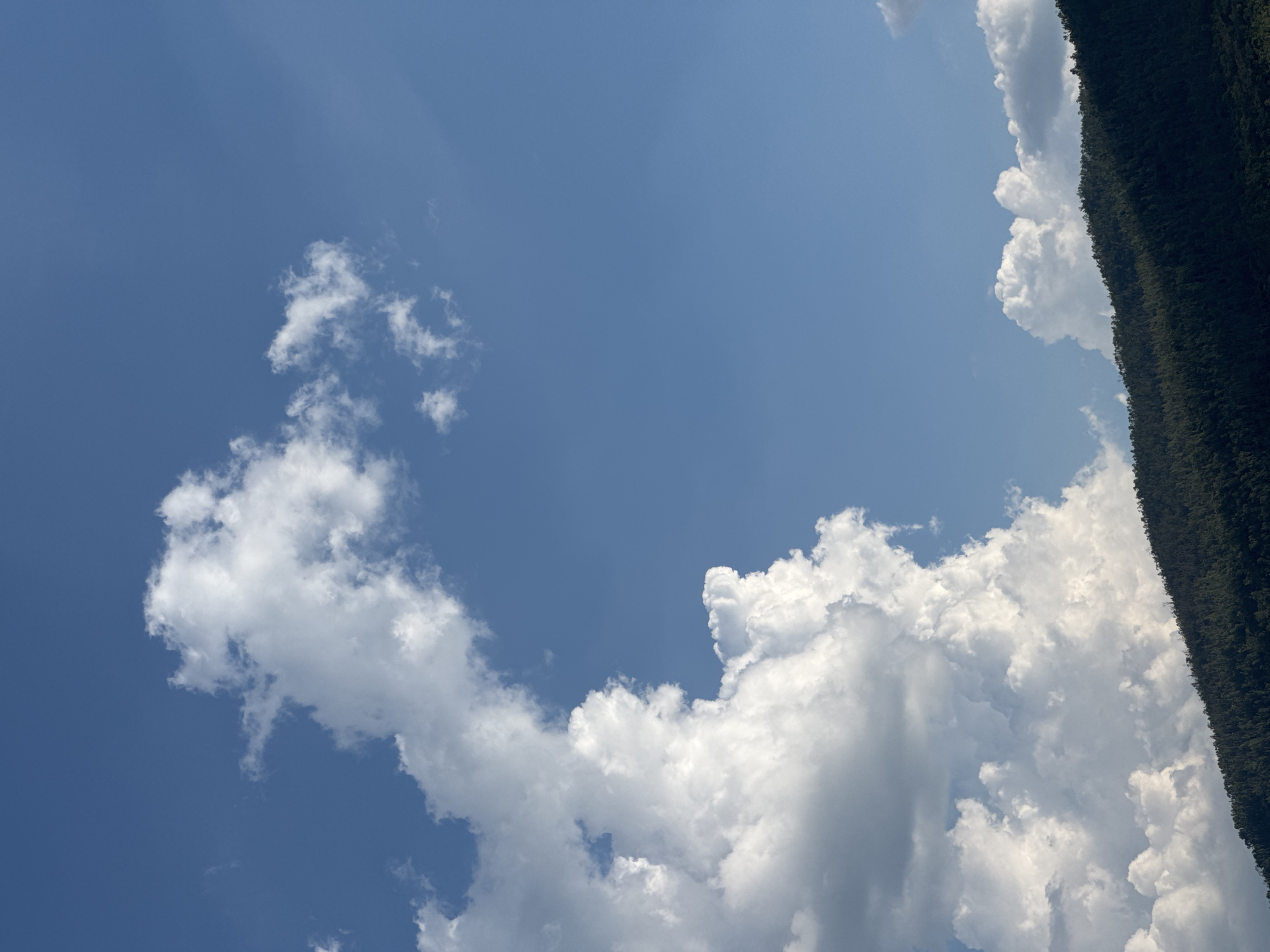 This is a vertical, eye-level, medium shot of a mountainous landscape under a bright blue sky with scattered clouds. The foreground is dominated by a dark, densely forested mountain range that slopes upwards from the bottom right corner, obscuring much of the lower frame. The trees are a deep green, with hints of lighter green and some bare branches visible, suggesting a diverse forest.
Above the mountain, a brilliant blue sky takes up the majority of the image. Large, fluffy white cumulus clouds are scattered across the sky, with a particularly prominent formation of white clouds cascading from the upper left to the mid-left of the frame. These clouds appear volumetric and illuminated from above, creating distinct shadows and highlights. Smaller, wispy clouds are also present in the upper right portion of the sky. The lighting suggests a sunny day, likely mid-morning or early afternoon, with the sun positioned somewhere above and to the right of the frame. There are no people or artificial structures visible in the image. The scene depicts a natural, undeveloped environment. The location is identified as South Quy Nhon Ward, Vietnam.