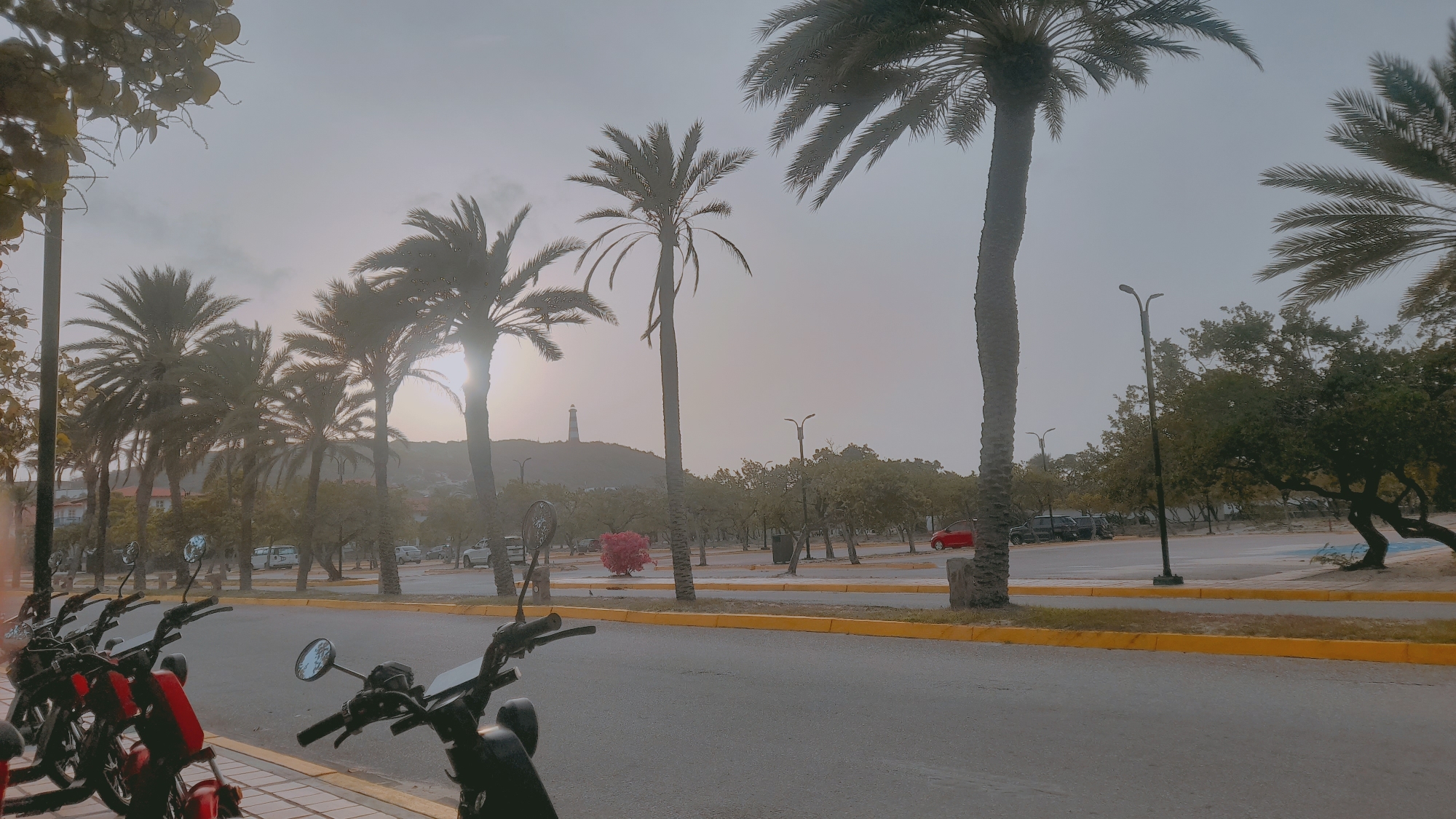The image depicts a street scene in Pedro González, Venezuela, characterized by a row of parked motorcycles in the foreground on the left side of the frame. The motorcycles are black and red. Beyond the motorcycles, a paved road stretches into the distance, bordered by a yellow curb. A line of palm trees runs along the right side of the road, with their fronds silhouetted against a hazy, overcast sky. In the middle ground, there is a parking area with several cars and a bus. Further in the background, a lighthouse stands on a hill. The overall atmosphere is slightly muted, possibly due to the weather conditions. The environment appears to be a coastal town, given the palm trees and the distant view of the lighthouse.