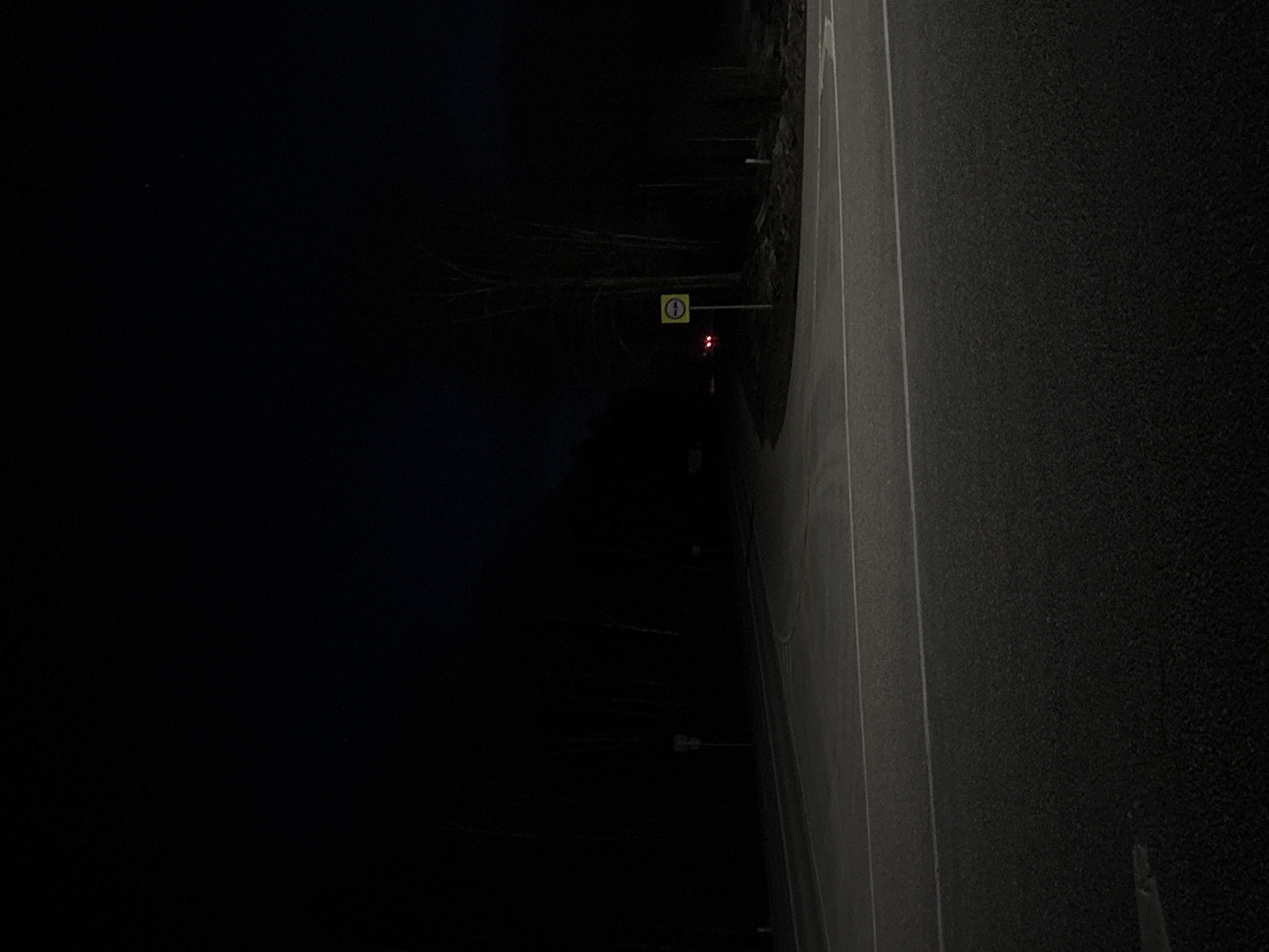 The image depicts a dimly lit road at night in Rusalevka, Russia. On the right side of the image is a paved road with visible lane markings. The left side is engulfed in darkness, with glimpses of trees, poles, and street signs. One sign is yellow with a symbol and another red. No people are visible.