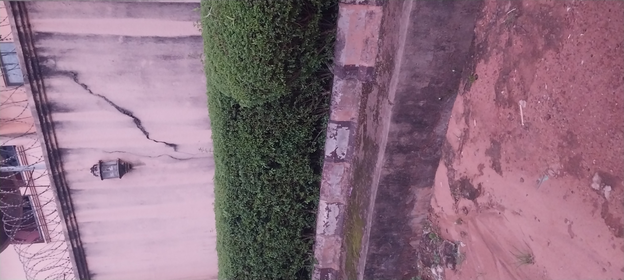 The image shows a section of a light pink wall with a prominent crack running diagonally from the top center towards the right. A black outdoor lantern is mounted on the wall to the left of the crack. Above the wall, barbed wire is visible, strung along the top. Below the wall, a neatly trimmed green hedge runs horizontally across the frame, supported by a weathered concrete structure with a patterned border. In front of the hedge, another concrete structure forms a raised edge, and beyond that, reddish-brown soil with scattered pebbles and some sparse vegetation occupies the foreground. The scene appears to be an outdoor perimeter wall, possibly of a residential or commercial property, in Onitsha, Nigeria. There are no people or visible actions taking place.