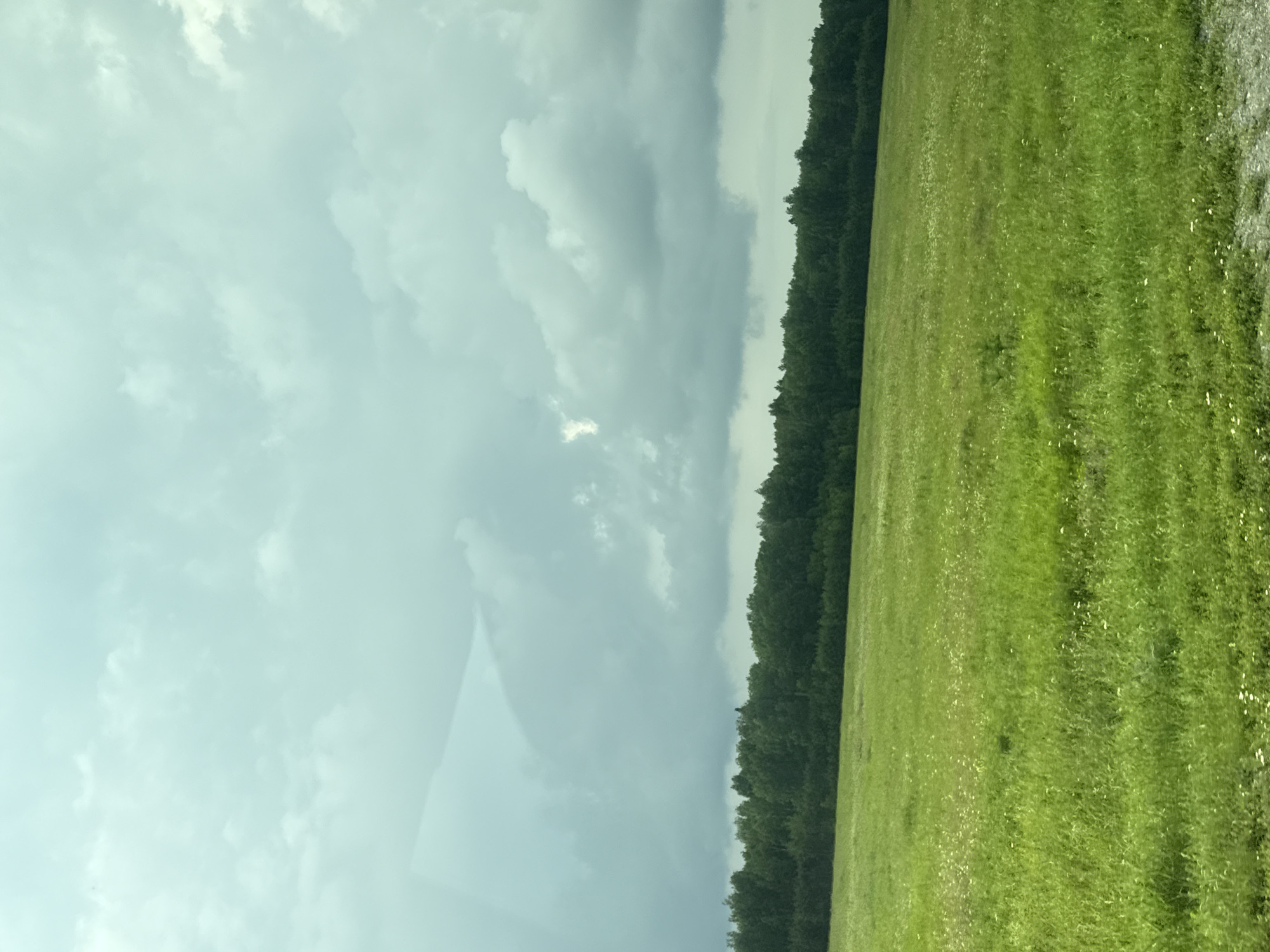 The image shows a wide, green meadow under a cloudy sky. A dark line of trees forms the horizon in the distance, separating the meadow from the sky. The sky is filled with gray and white clouds, with a small patch of brighter light breaking through in the upper center. The meadow is covered in tall, green grass with scattered small white wildflowers. The ground in the foreground appears to be a gravelly or stony surface. There are no people or man-made structures visible in the scene. The overall impression is of a natural, rural landscape. The provided location is Pokrovskoe, Russia.