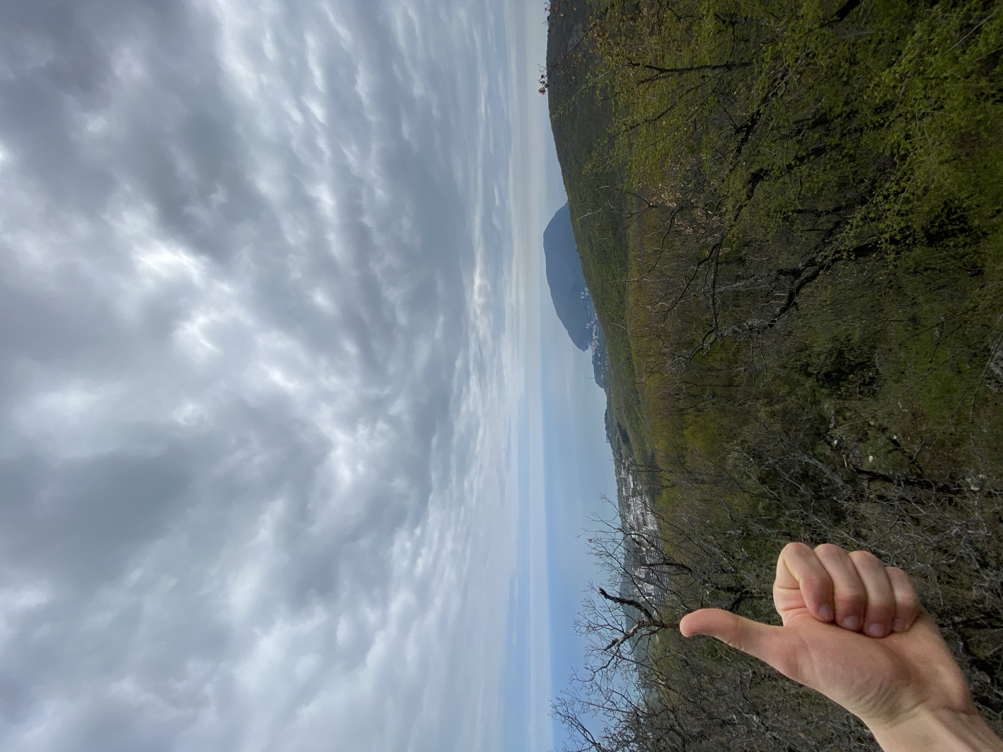 The image shows a landscape with a cloudy sky occupying the left portion. The right side features a hill covered in green vegetation and bare tree branches in the foreground. In the distance, a body of water stretches towards a landmass with a visible settlement along the coastline, identifying the general location as Kiparisnoe, Ukraine. A human hand giving a thumbs-up gesture is visible in the lower right corner, partially obscuring the view.