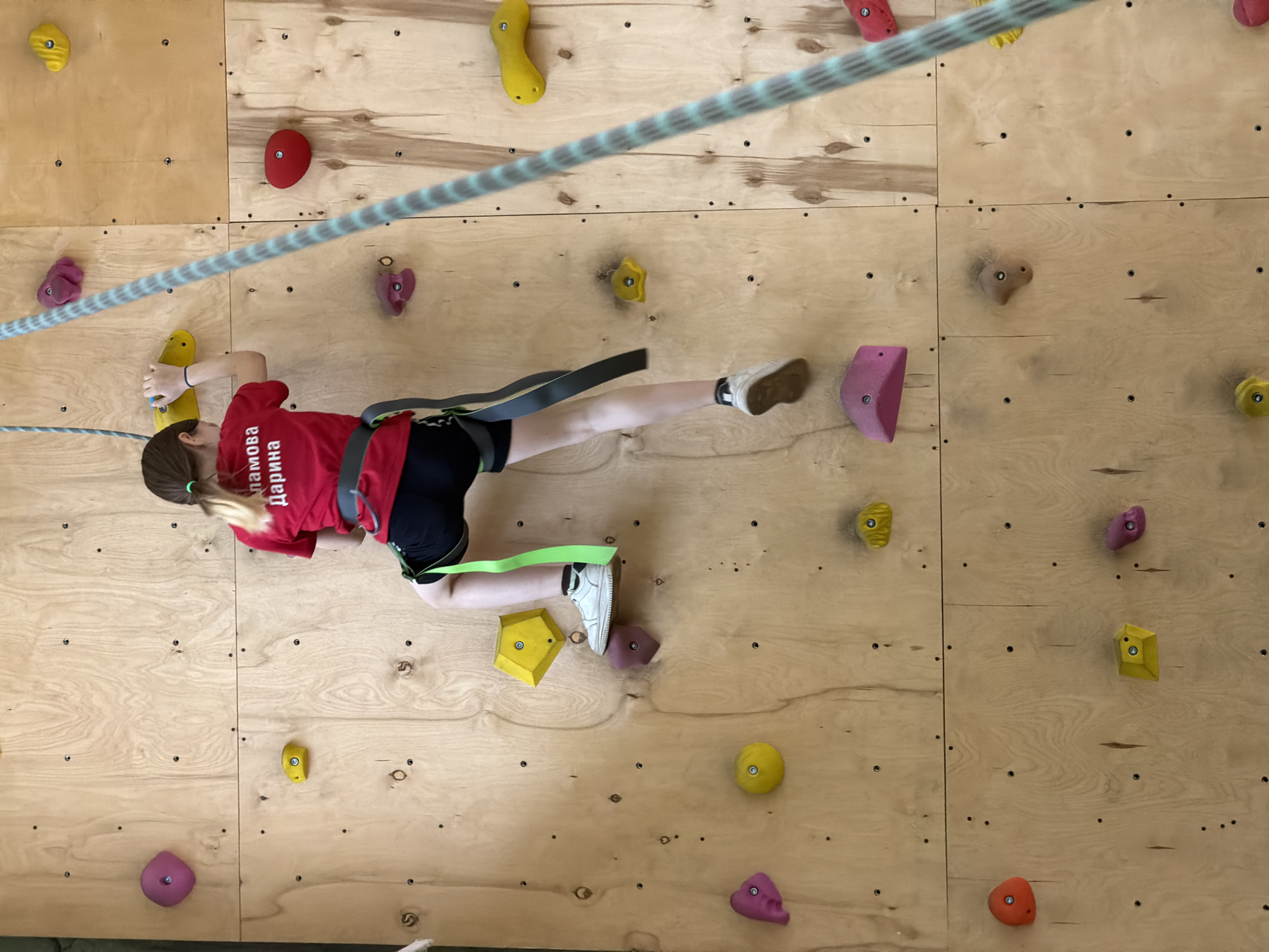 The image shows a young girl actively engaged in indoor rock climbing, viewed from above. She is positioned horizontally on a light-colored wooden climbing wall, which is covered with numerous colorful holds in various shapes and sizes, including red, yellow, pink, purple, orange, and brown.
The girl has brown hair tied back and is wearing a red t-shirt with black shorts and white sneakers. She is equipped with a black climbing harness, featuring a prominent bright green safety loop around her left thigh. A blue and white patterned climbing rope stretches diagonally across the upper part of the frame, indicating she is belayed for safety. Her left hand is firmly gripping a yellow climbing hold, while her body is extended as she attempts to maneuver upwards or across the wall. Her right leg is stretched out, and her left leg is bent, contributing to her climbing posture.
On the back of her red t-shirt, vertical text in Cyrillic script is visible, which reads "ЛАМОВА ДАРИНА." This translates to "LAMOVA DARINA." The setting is an indoor climbing facility, likely a gym or recreational center in Izhevsk, Russia. The lighting suggests an indoor environment, without specific cues for time of day or outdoor weather. The photograph captures a moment of physical exertion and focus during the climbing activity.