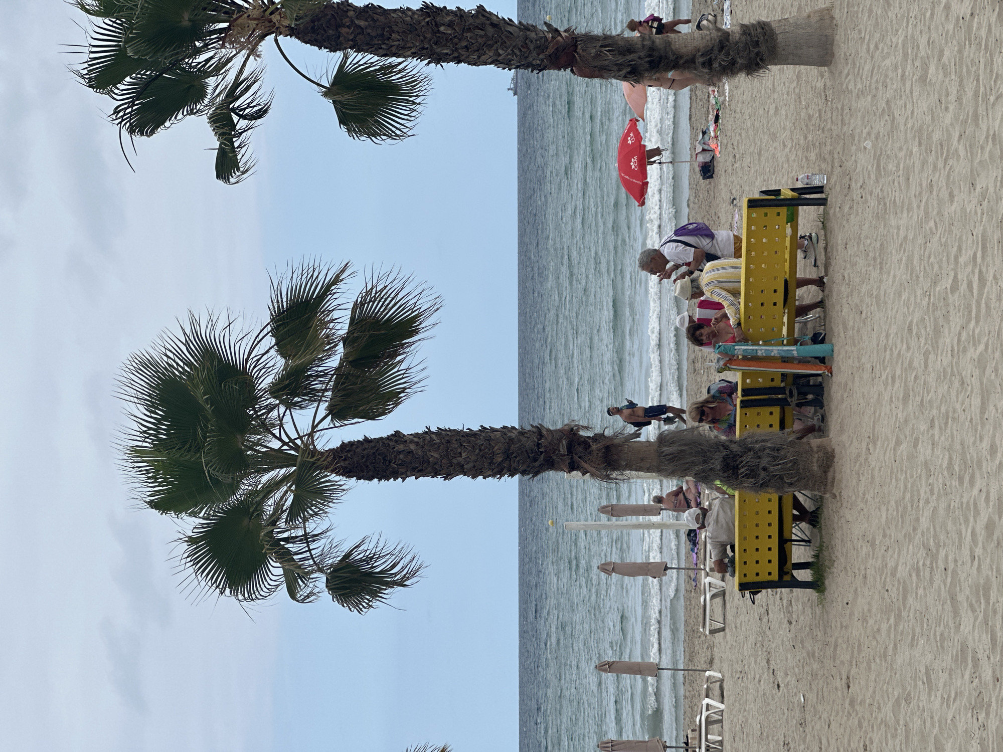 The image depicts a beach scene under an overcast sky. In the foreground, two tall palm trees frame the view of the sandy beach and the ocean. Several people are present on the beach. A group of individuals are seated on a bright yellow bench, engaged in conversation. To the left of the bench, beach chairs and umbrellas are set up. Further back, near the water's edge, more people are scattered across the sand, some sitting and others standing. The ocean is visible with gentle waves, and a distant ship can be seen on the horizon. The overall atmosphere is relaxed, with people enjoying a day at the beach.