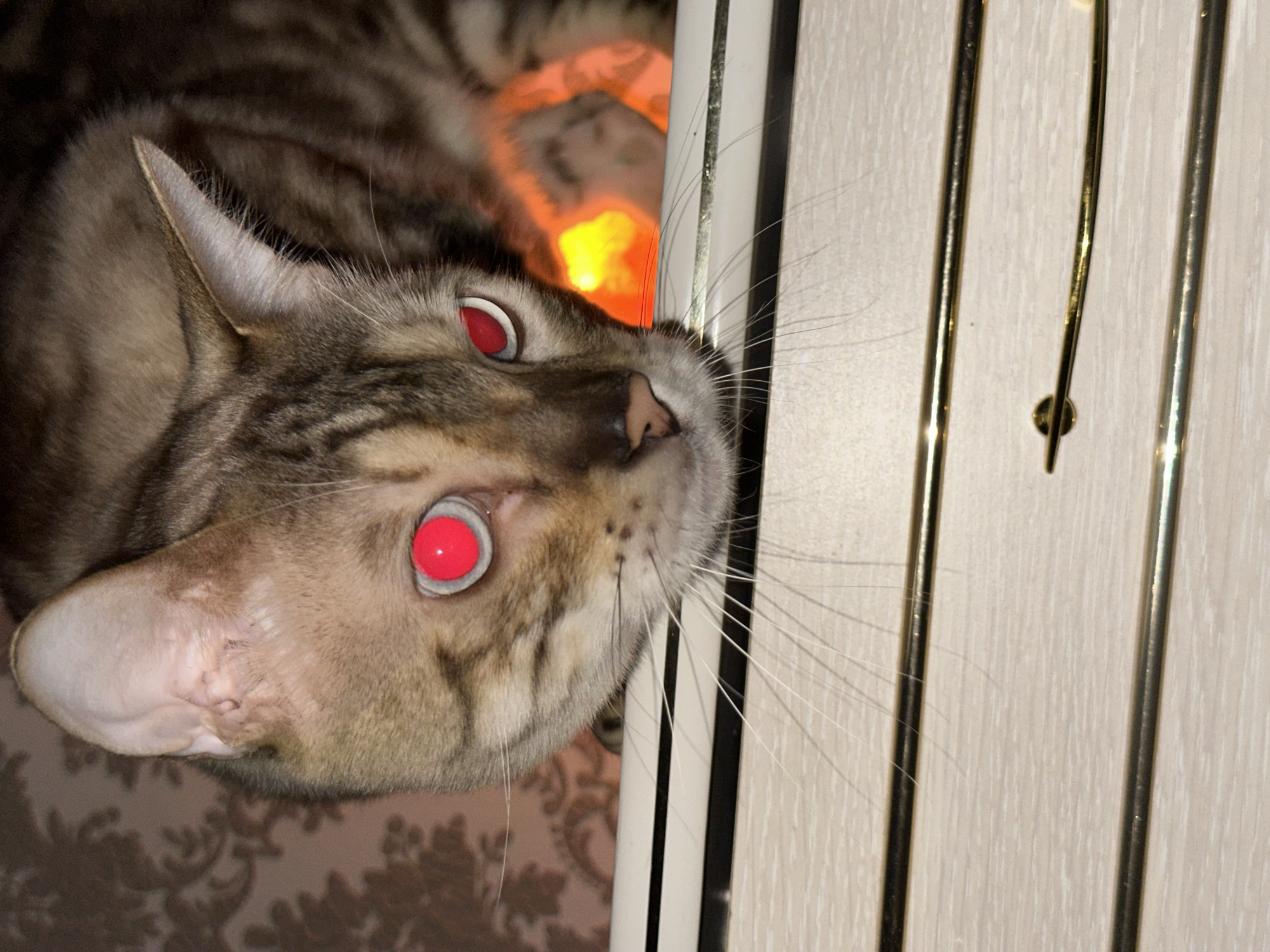 The image shows a close-up of a cat's face. The cat has tabby markings and bright red pupils. Its ears are visible, with one slightly torn. In the background, there is a patterned wallpaper and a blurred orange and yellow glow. The cat is positioned on a surface with horizontal metallic bars. There is no discernible indication of the cat's location in Energetik, Russia.