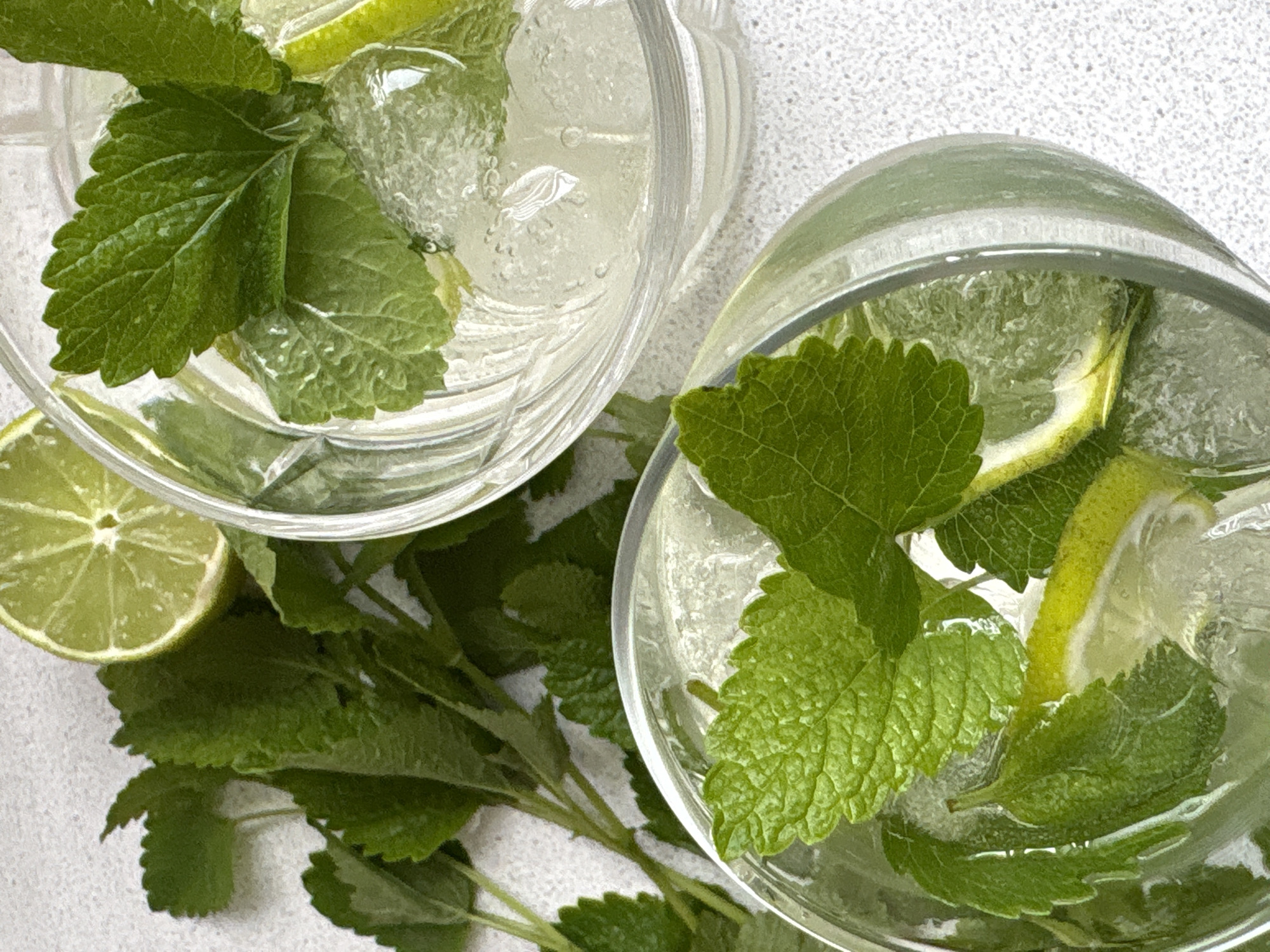 This image depicts a scene in Saint Petersburg, Russia, showing two clear glass tumblers from an overhead perspective, each containing a refreshing beverage. Both glasses are filled with clear liquid, ice cubes, slices of fresh lime, and several green mint leaves. The glass in the foreground, positioned towards the lower left, prominently displays ice cubes, multiple mint leaves with visible venation, and slices of lime submerged in the liquid. The second glass, situated in the upper right, also contains similar ingredients. Scattered on the light-colored, speckled surface surrounding the glasses are loose sprigs of fresh mint leaves and a half-cut lime, oriented with its cut surface facing upwards. No individuals are present in the scene. The lighting is even and bright, highlighting the crisp details of the ingredients and the texture of the surface.