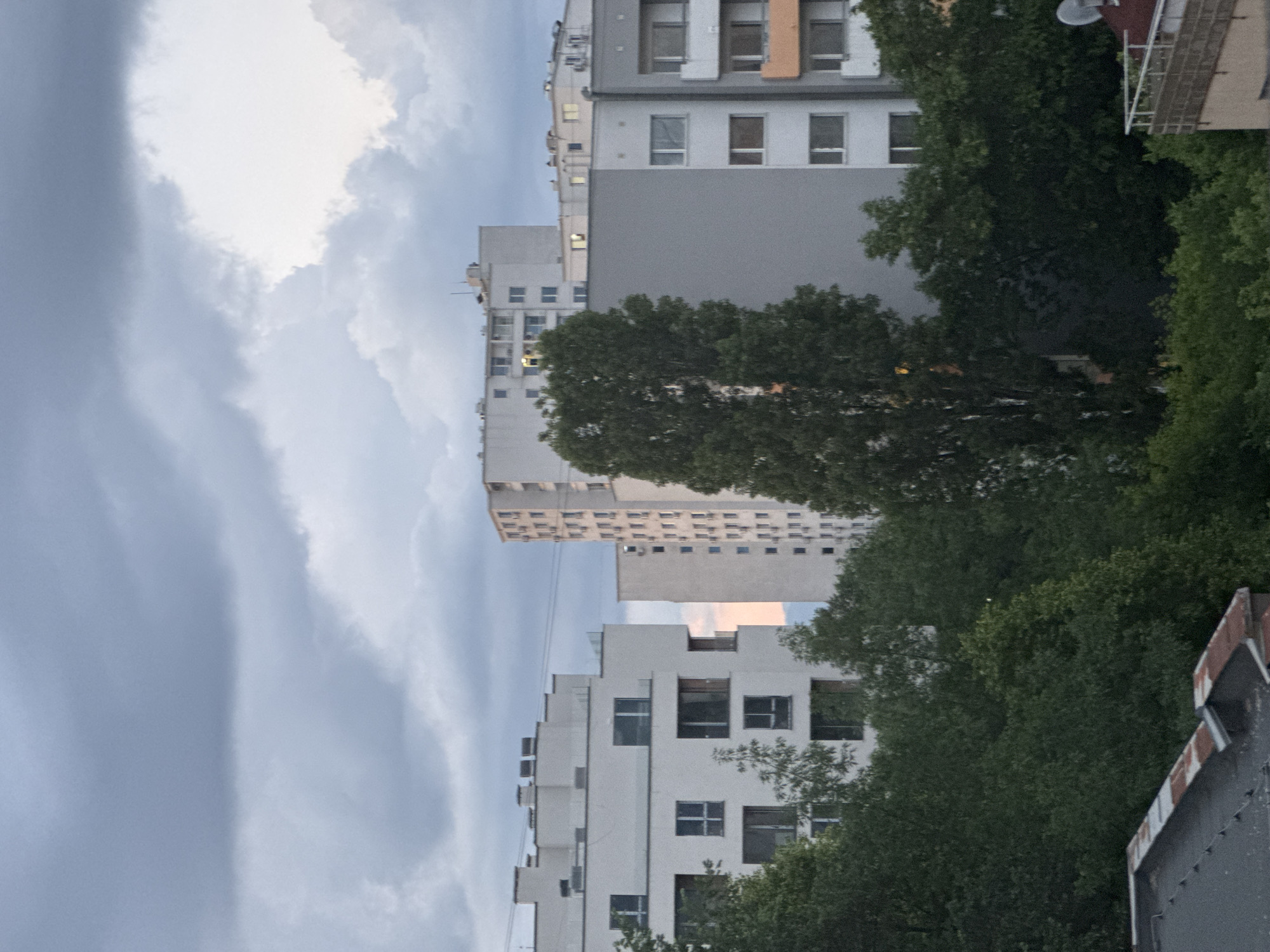 The image displays an urban residential landscape in Sofia, Bulgaria, under an overcast sky, suggesting either dawn or dusk. The upper half of the frame is dominated by heavy, dark grey cloud cover, with a lighter, slightly warm-toned section of sky visible towards the right horizon, nestled between distant buildings.
In the midground, a series of multi-story residential buildings are visible above a dense canopy of trees. To the left, a modern, white building with multiple rectangular windows and flat roof sections featuring glass railings and various roof-mounted utilities stands prominent. To its right, a taller, lighter-toned high-rise apartment block, characteristic of an older architectural style, presents a uniform facade with numerous small, recessed windows or balconies. Further to the right, a building with a grey facade, white window frames, and several orange-colored balconies is partially visible. Additional white or light-colored residential blocks are discernible in the background. A few windows across the various buildings show faint internal illumination.
The lower half of the image is filled with a dense mass of dark green deciduous trees, effectively obscuring the ground levels and lower floors of the buildings. A tall, slender tree stands prominently in the center, its trunk partially visible, reaching up towards the roofline of the central grey building. In the immediate foreground, the dark, weathered, and partially rusted roof of a building is visible in the bottom-left corner. In the bottom-right corner, a white railing and a grey satellite dish are situated on another rooftop. No individuals or overt activities are present in the scene.