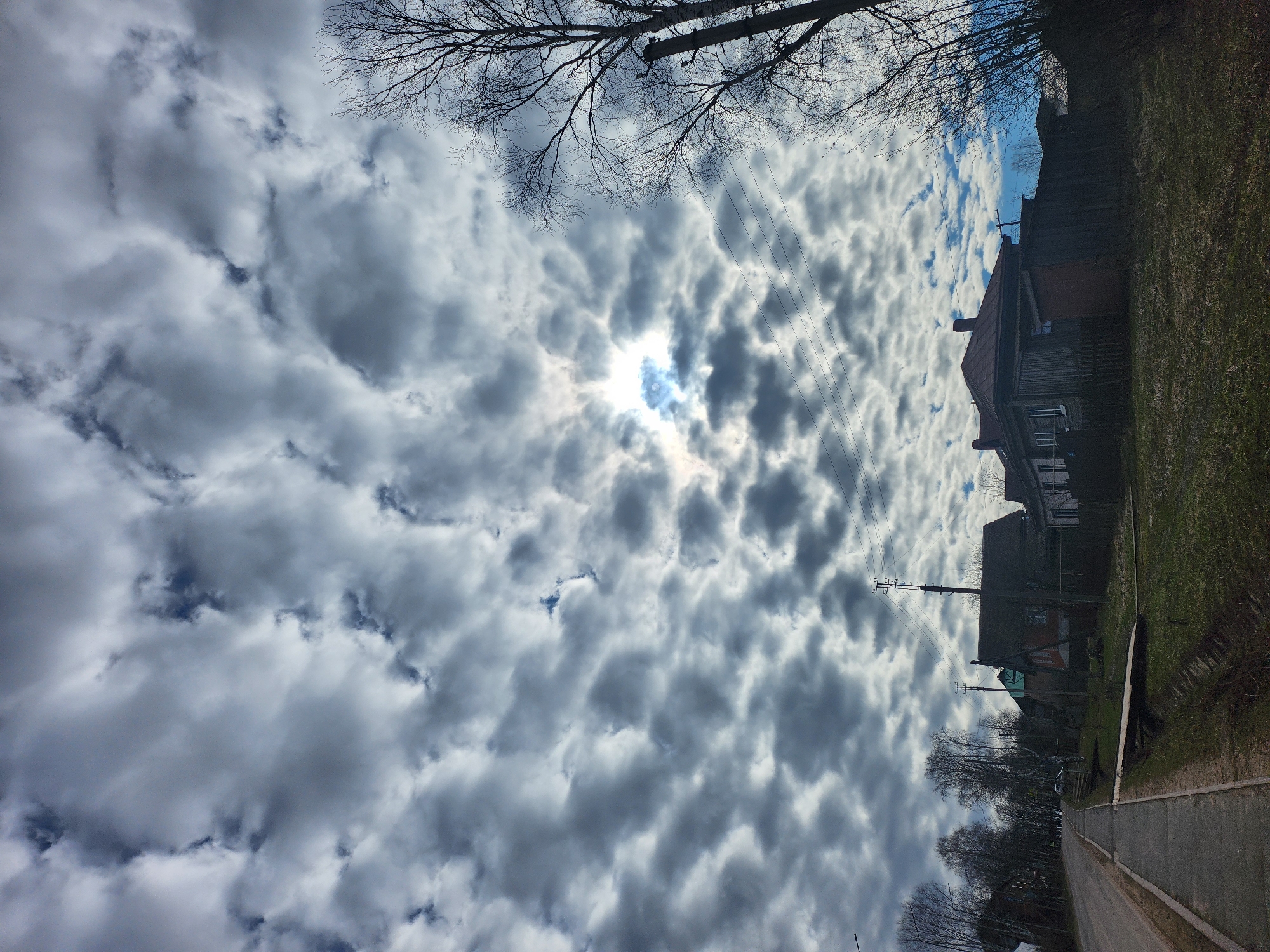 The image, correctly oriented, depicts a street scene in Krasnogorskoye, Russia, likely during late winter or early spring.
The sky is the dominant subject, filled with a dense, patterned layer of altocumulus clouds, often referred to as a "popcorn" or "mackerel" sky. The sun is visible as a bright, glowing disc partially obscured by thinner clouds, creating a halo effect in the upper-middle portion of the sky. Patches of blue sky are visible through gaps in the cloud cover.
Bare branches of deciduous trees extend into the upper left and upper right corners of the frame, and a line of similar trees borders the road further down on the right. Along the right side of the image, a paved road or sidewalk runs into the distance, flanked by green grass. Several traditional wooden houses with pitched roofs and chimneys are visible on the right, lining the street. Power lines stretch across the sky, connected to utility poles positioned along the roadside.
No people are present, and no specific activity is taking place; the scene is static. The bright sunlight suggests a daytime setting, likely mid-morning or early afternoon. The architecture of the houses and the general environment are consistent with a rural or small-town Russian landscape. There is no visible text in the image.