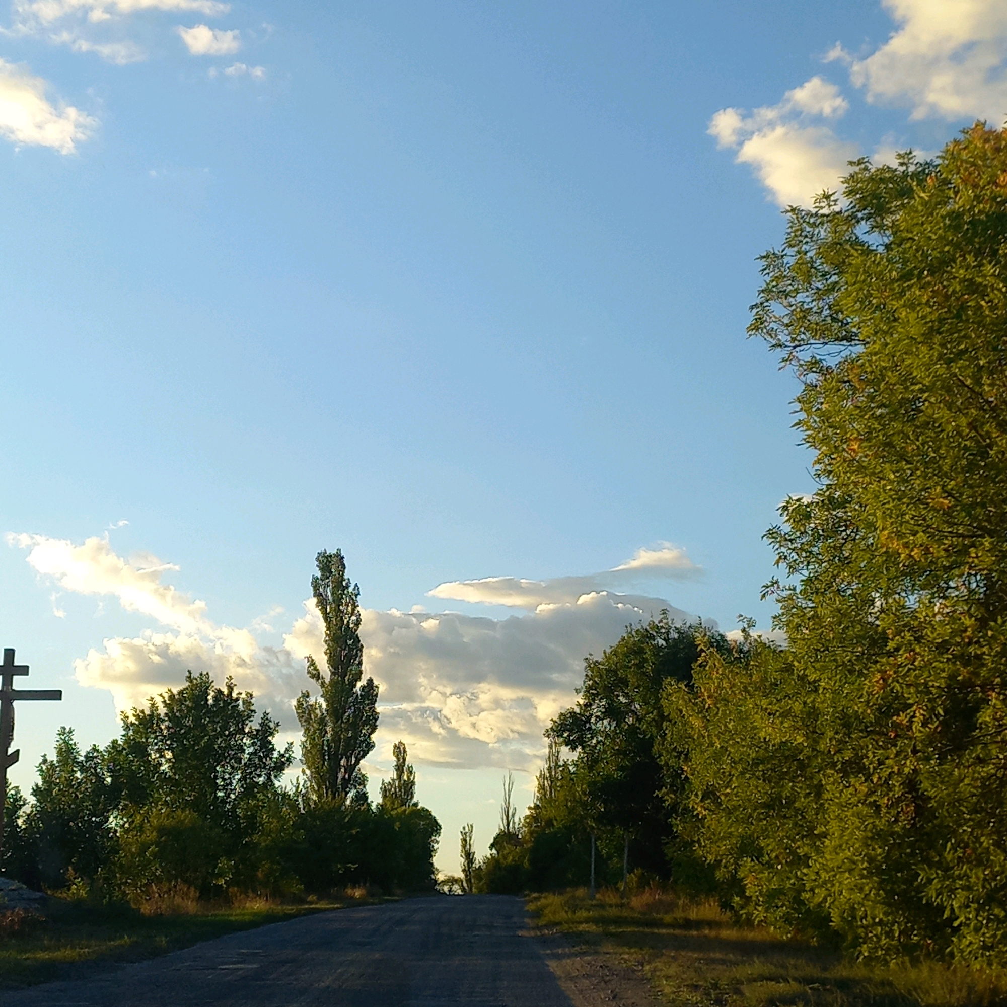 A low-angle, full shot captures a paved road leading into a rural landscape under a bright blue sky dotted with fluffy white clouds. To the left, a dark wooden cross stands prominently against a backdrop of lush green trees. The road is flanked by dense foliage on both sides, with a line of tall, slender trees piercing the skyline in the distance. The scene appears serene, evoking a sense of peace and solitude.