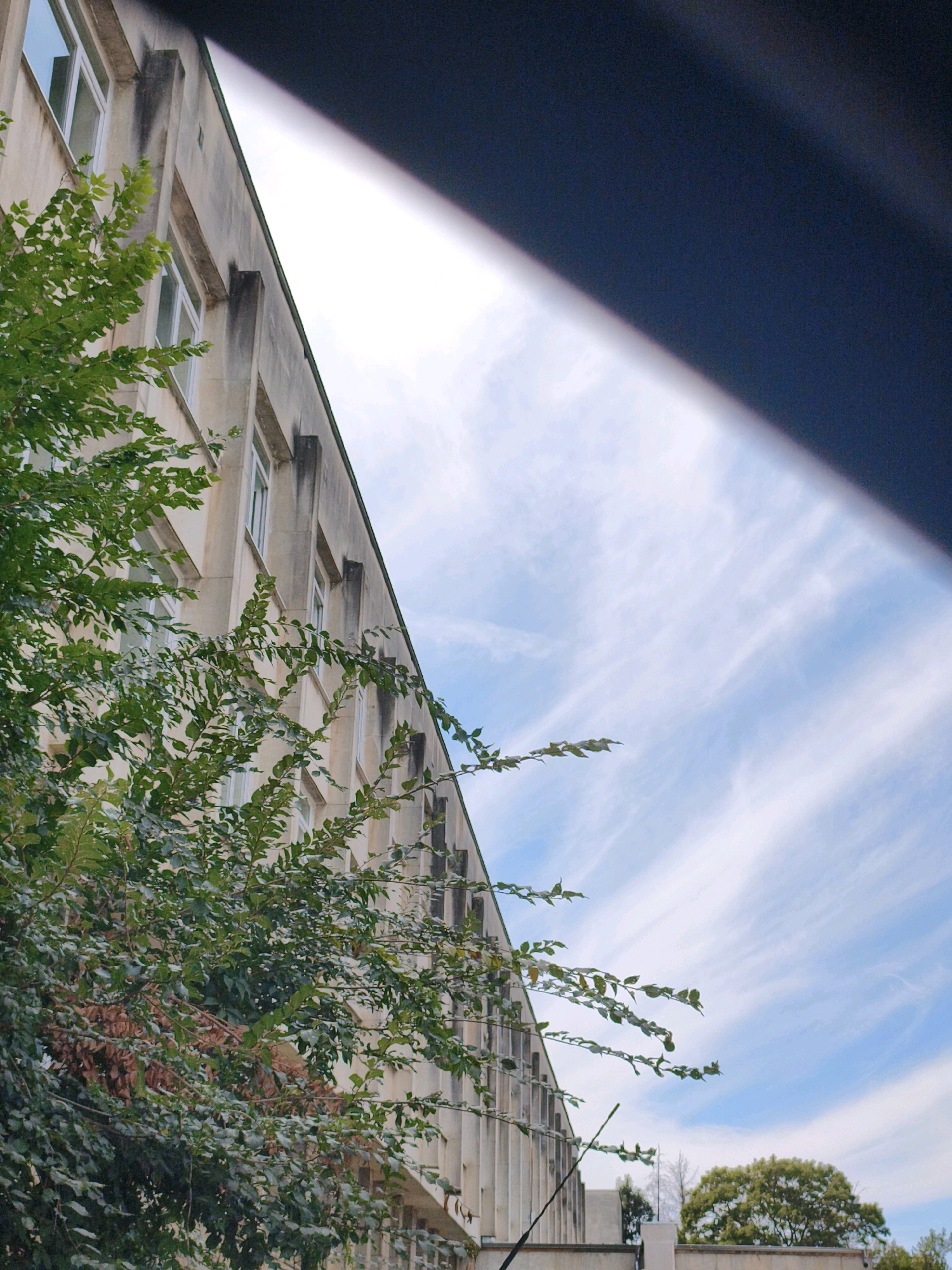 A low-angle, outdoor shot captures a pale beige, multi-story building with a textured facade. The building, which appears to be part of the municipal administration in Lovech, Bulgaria, features rows of rectangular windows with white frames. Green foliage from a large tree partially obscures the lower portion of the building. The sky above is a bright blue, marked by wispy white clouds. A dark, angled shape, possibly a roofline or awning from another structure, occupies the upper right portion of the frame, casting a shadow over a section of the sky. The overall scene is static and devoid of human activity.