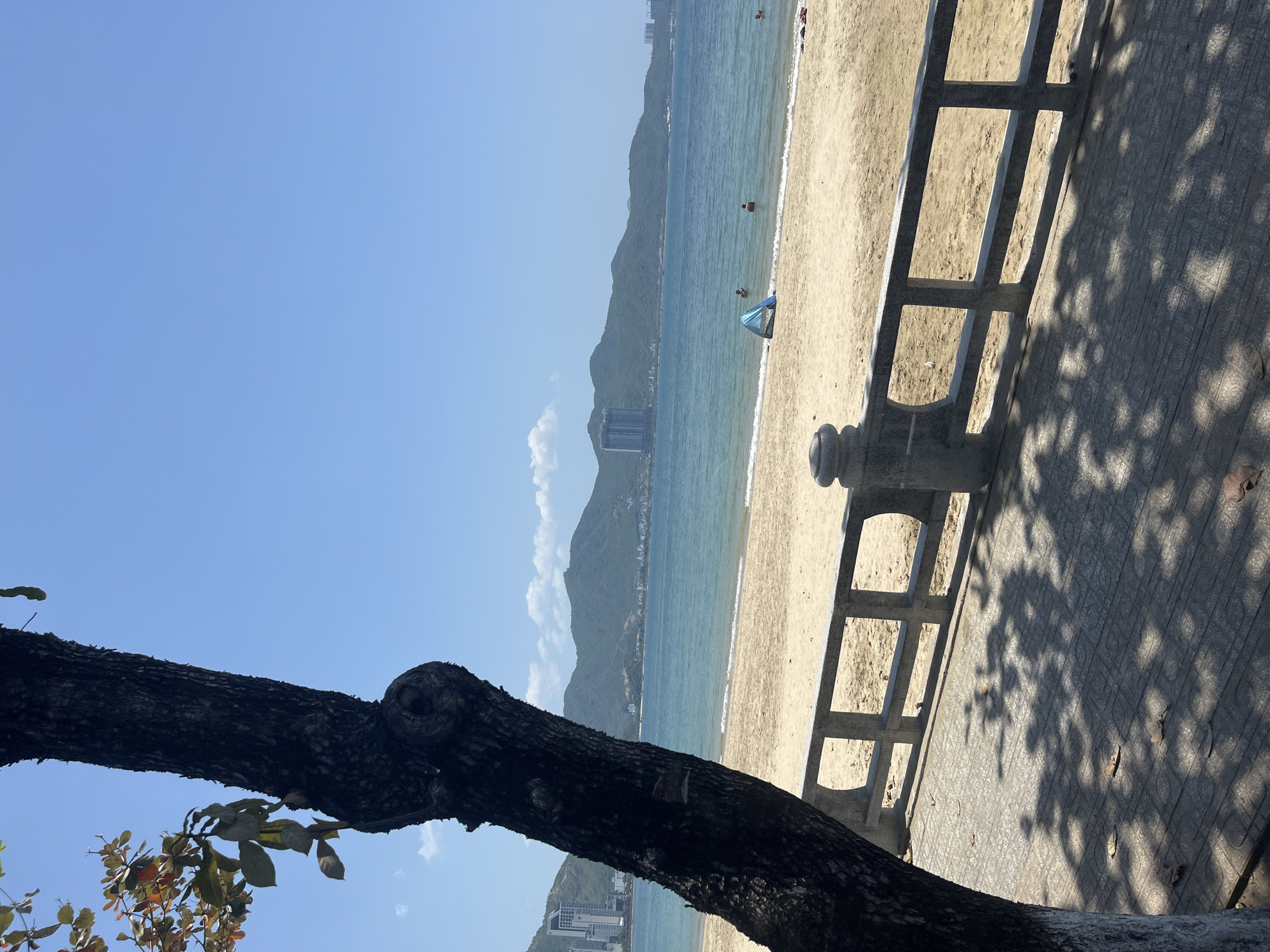 The image depicts a sunlit scene at a beach in Nha Trang, Vietnam. In the foreground, a large tree trunk with dark, textured bark stands prominently on the left side of the frame. Its branches, partially visible, are adorned with green and reddish-brown leaves. The ground in front of the tree is paved with patterned tiles, and dappled shadows from foliage create a mosaic pattern on the surface.
A low, grey stone balustrade with a decorative, open framework runs horizontally across the middle of the image, separating the paved area from the beach. Behind the balustrade lies a stretch of light-colored sand. Further back, the calm, blue sea meets the shore, with small waves gently lapping the sand.
In the shallow water, a few individuals are visible. One person stands near a small, blue beach tent. Other figures are submerged or partially visible in the water. In the distance, a range of green, mountainous terrain forms the backdrop. Several tall, modern buildings, including a prominent skyscraper, are situated along the coastline, nestled against the hills. The sky above is a clear, bright blue with a few wispy white clouds. The overall atmosphere is one of a serene, tropical coastal environment.