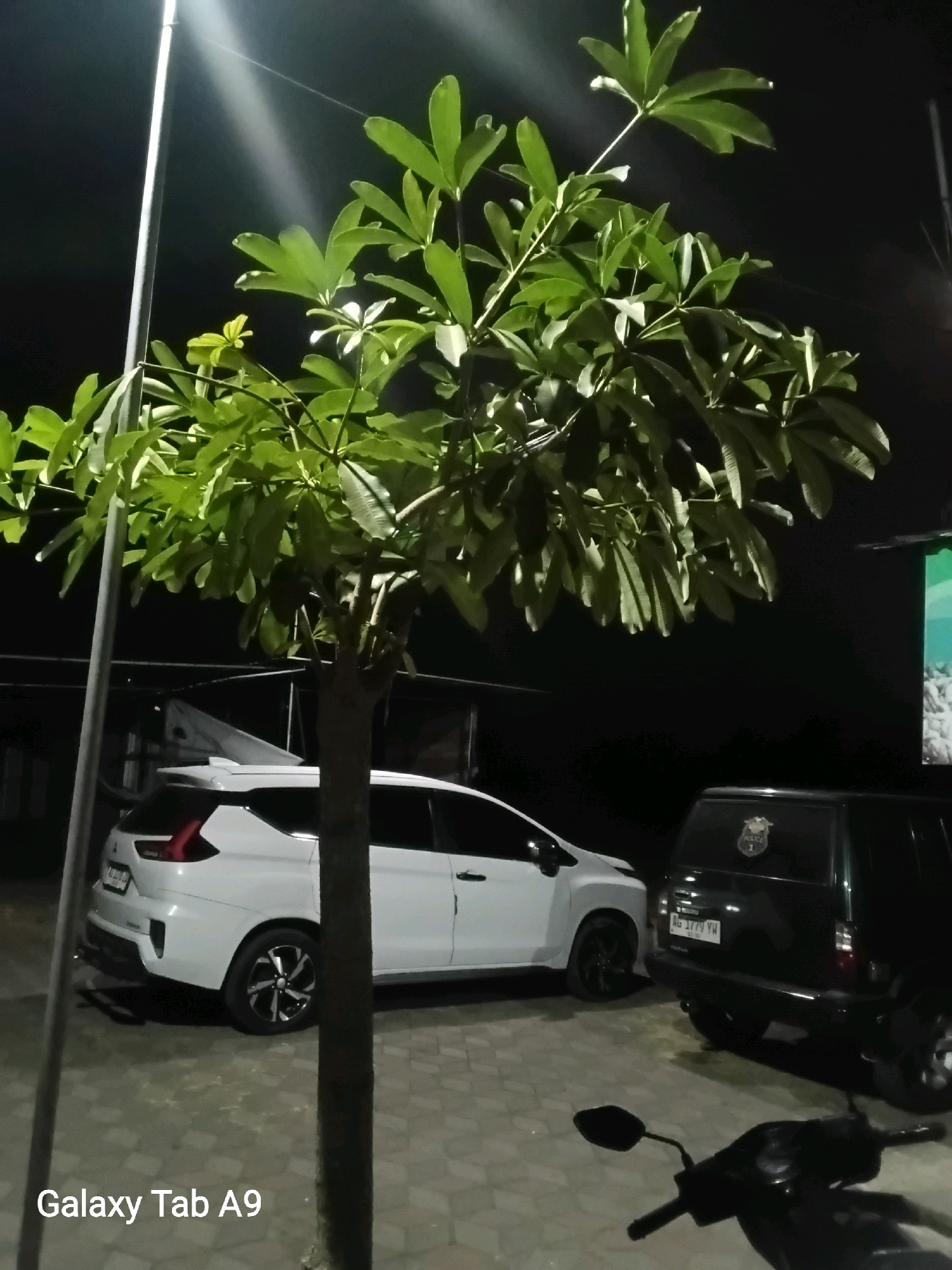 In Bendorejo, Indonesia, a night scene unfolds under artificial lighting. A tall, slender tree with bright green leaves stands in the foreground, its trunk appearing sturdy and brown. To its left, a bright light pole emits a strong beam of light. Behind the tree, two vehicles are parked on a paved surface. A white SUV, possibly a Mitsubishi Xpander, is on the left, with its rear visible. To the right of the SUV, a black vehicle, possibly a police vehicle given the badge on its rear window, is parked. The license plate of the black vehicle reads "AG 1779 YW". A dark-colored motorcycle is parked in the lower right corner of the image. The background is dark, indicating it is nighttime.